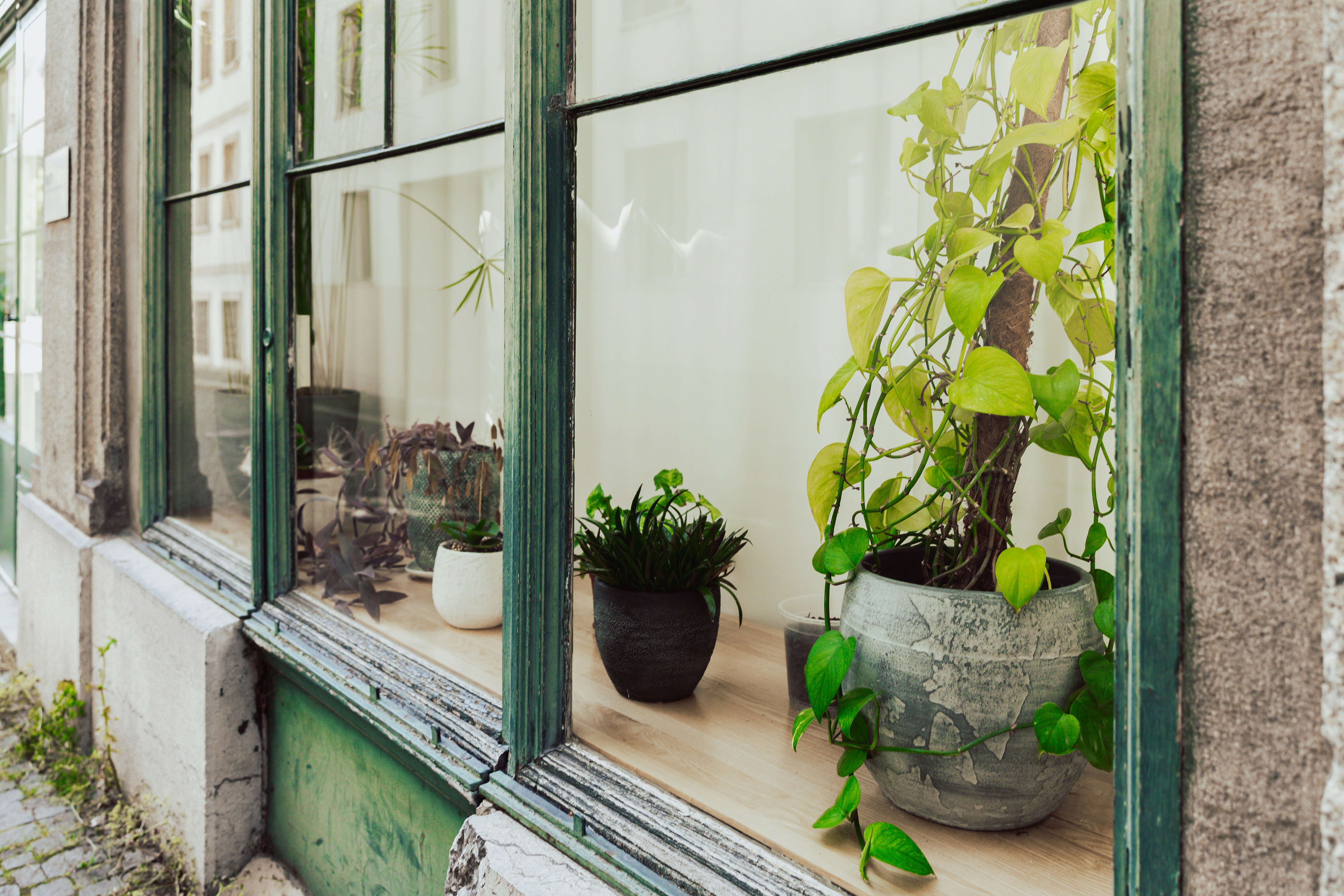 Photo by emilipothese