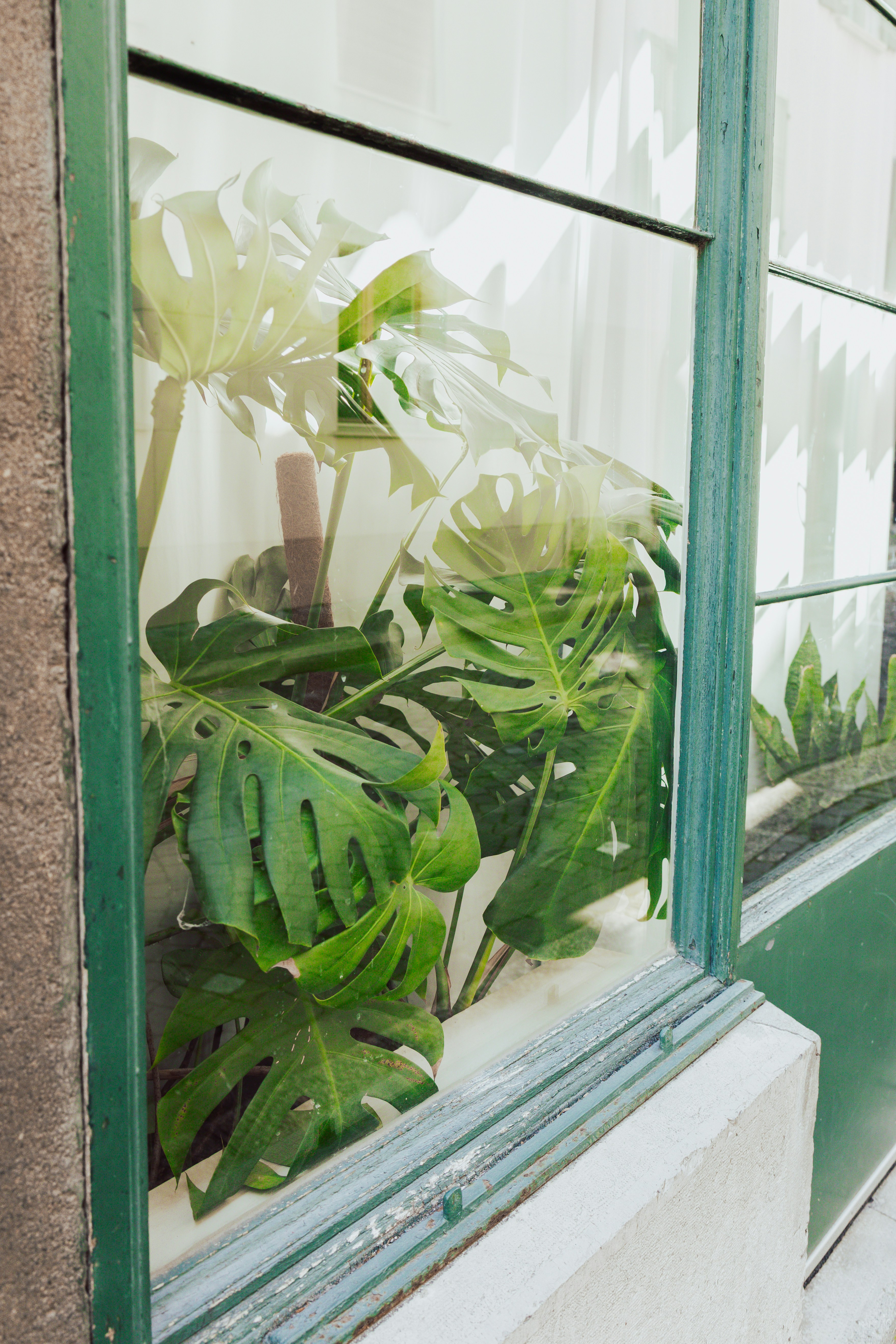 Photo by emilipothese