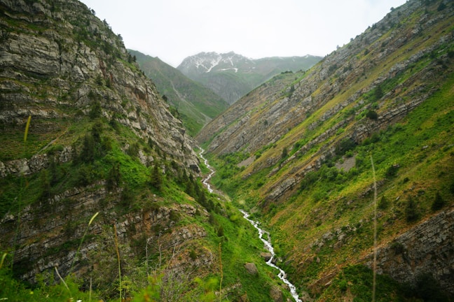 A lush, green valley with a flowing stream.
