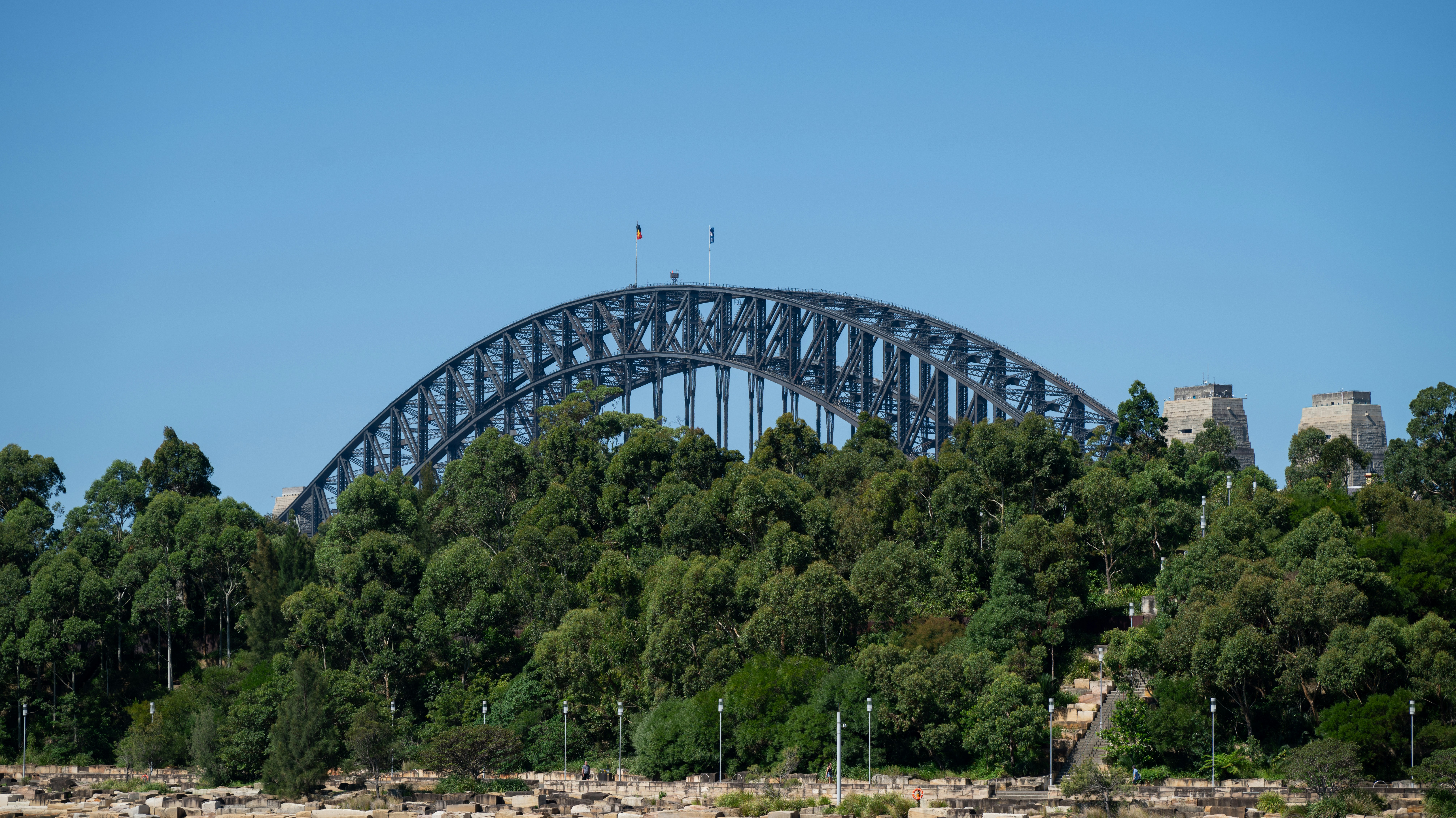 The sydney harbour bridge rises above the trees.