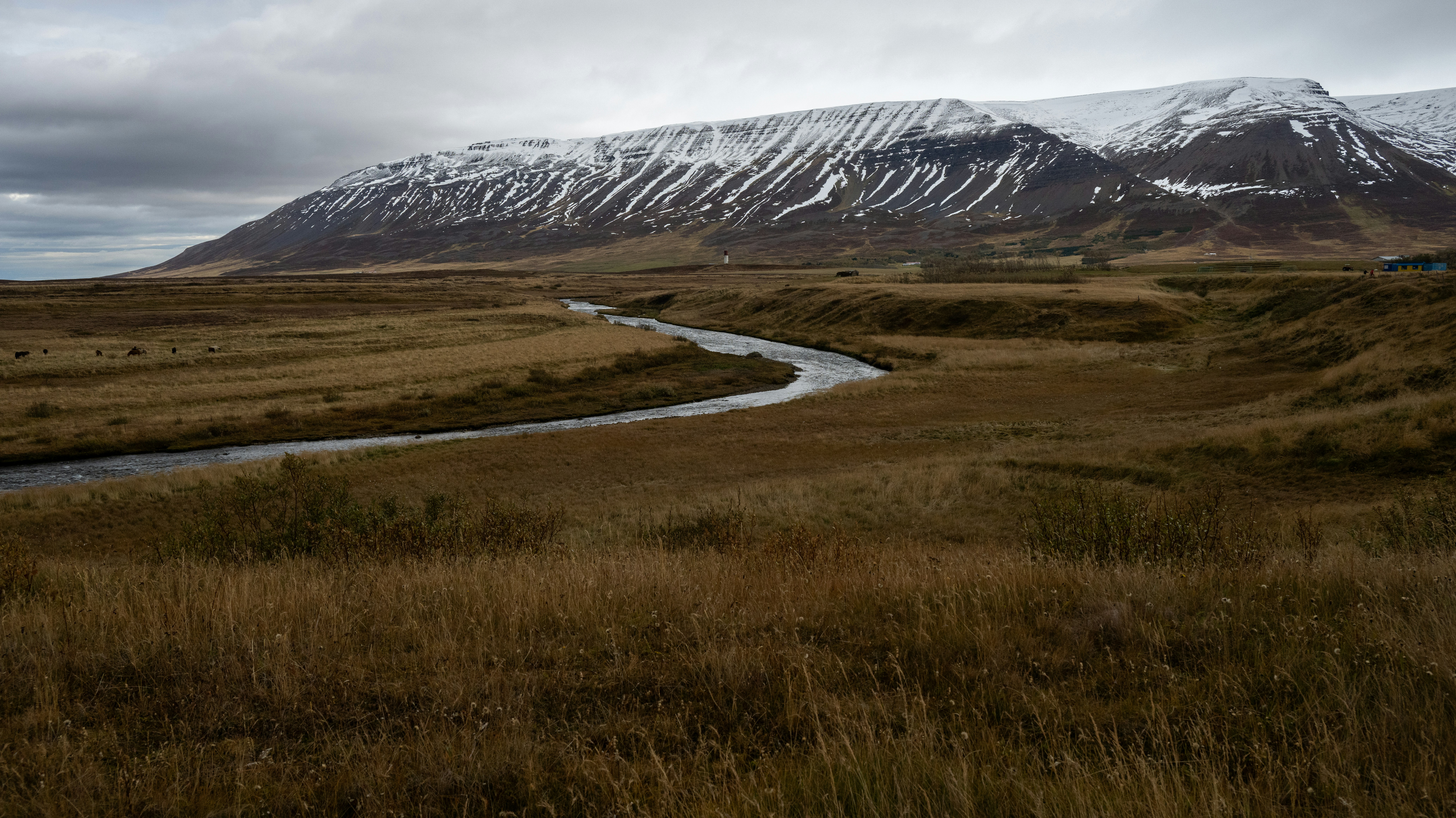 Iceland's Ambitious Desert-to-Forest Transformation (image credits: unsplash)