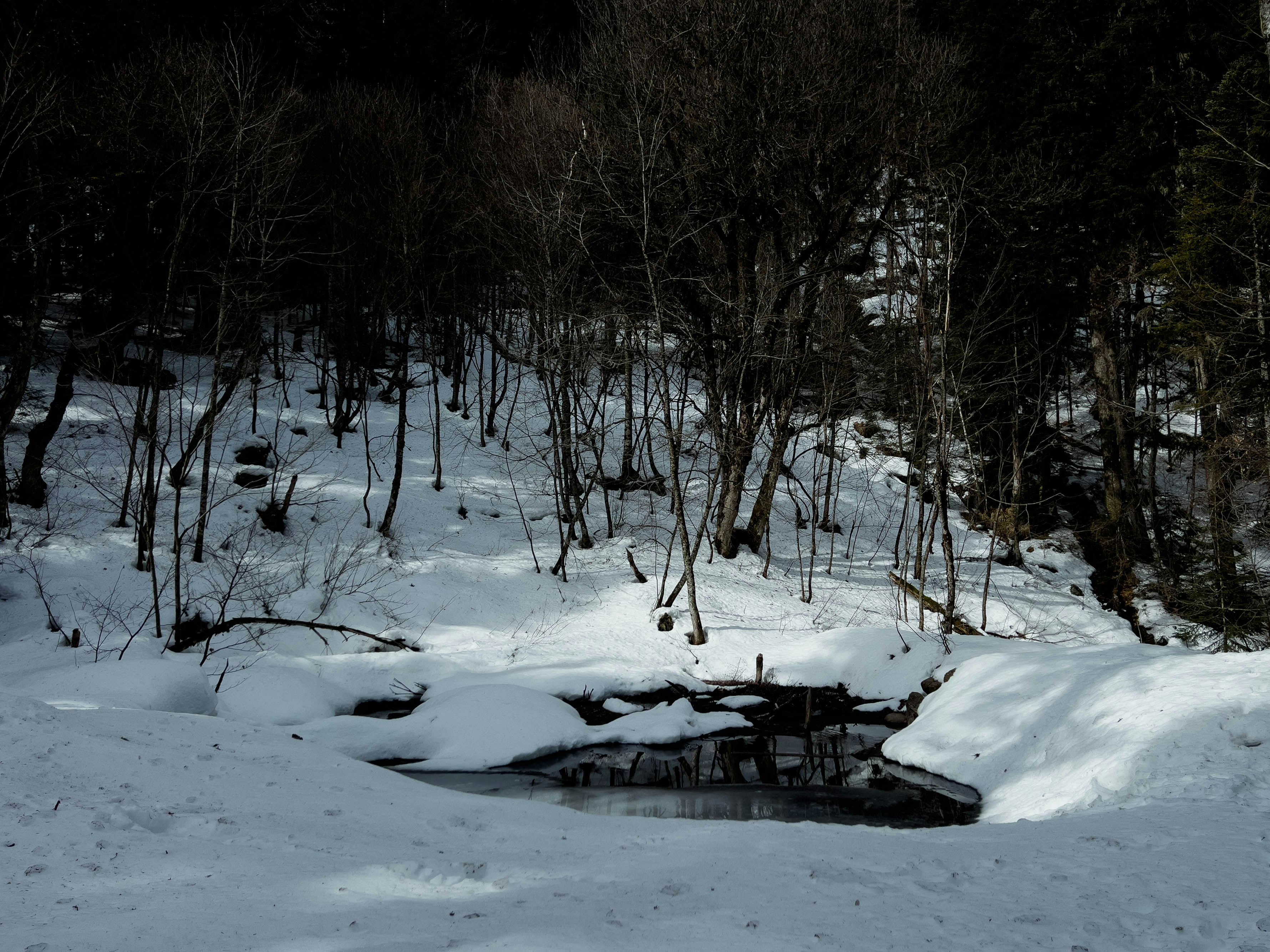 Photo by pinkpony2000