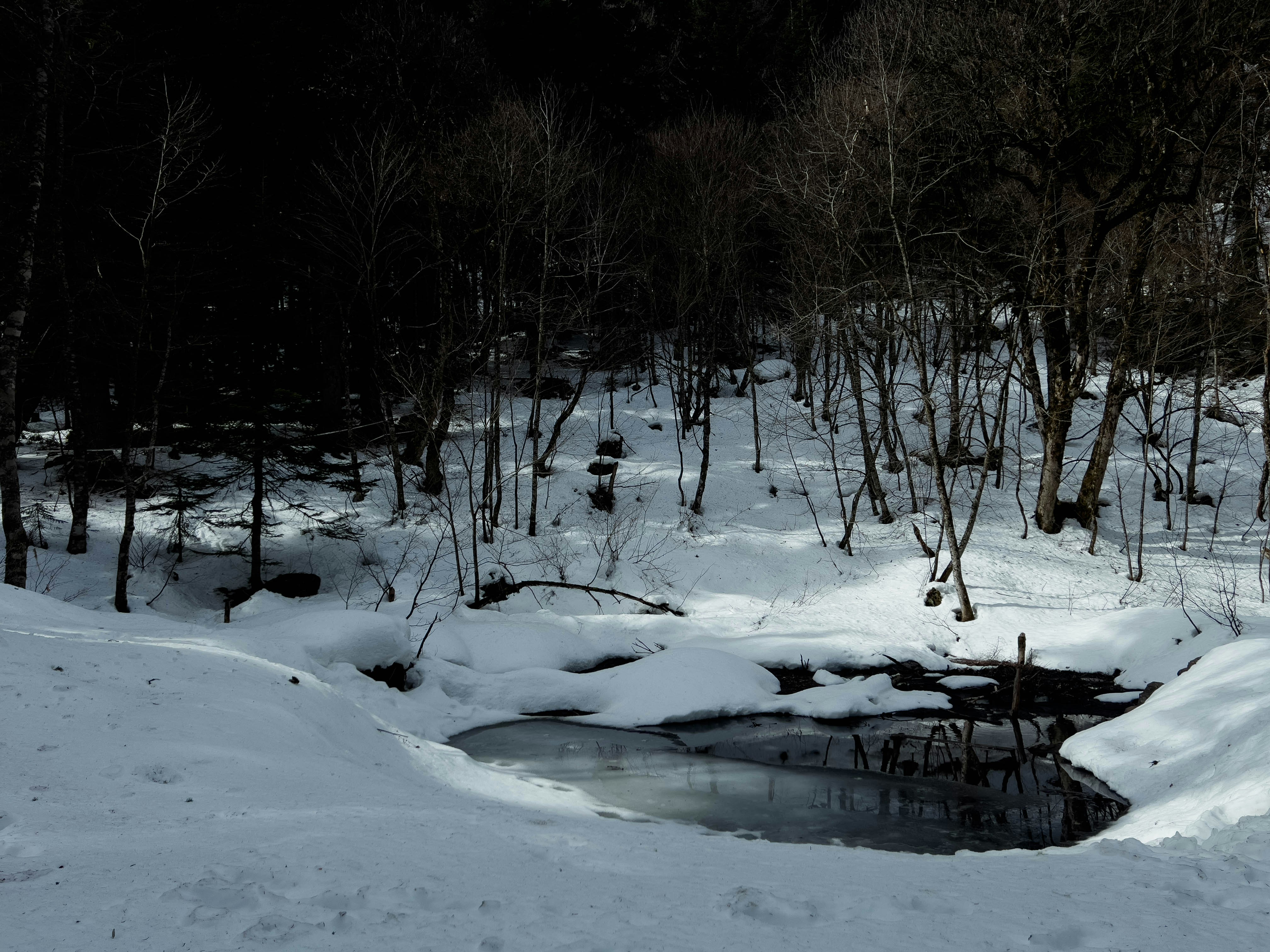 Photo by pinkpony2000