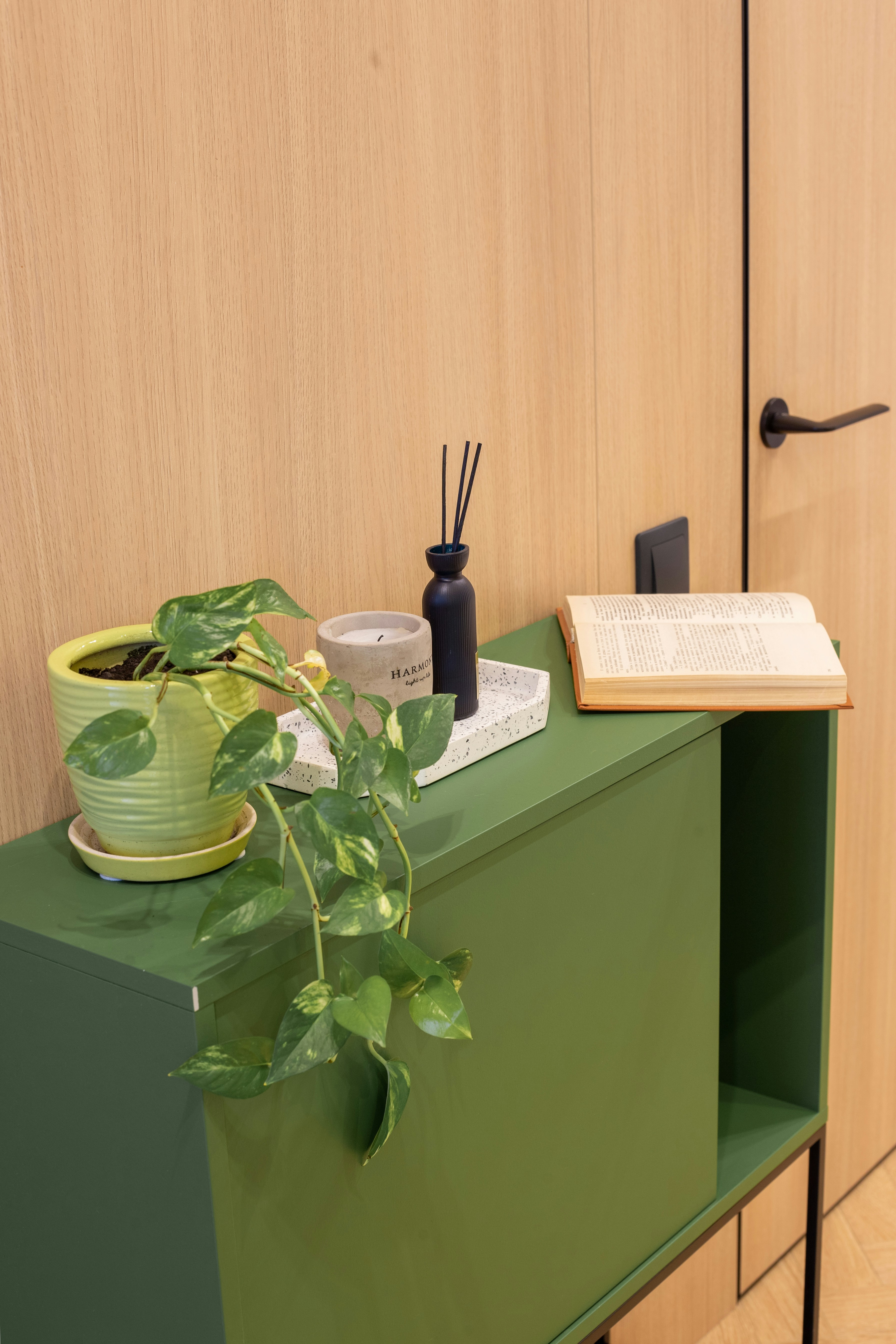 A green cabinet displays plants, a candle, and a book.
