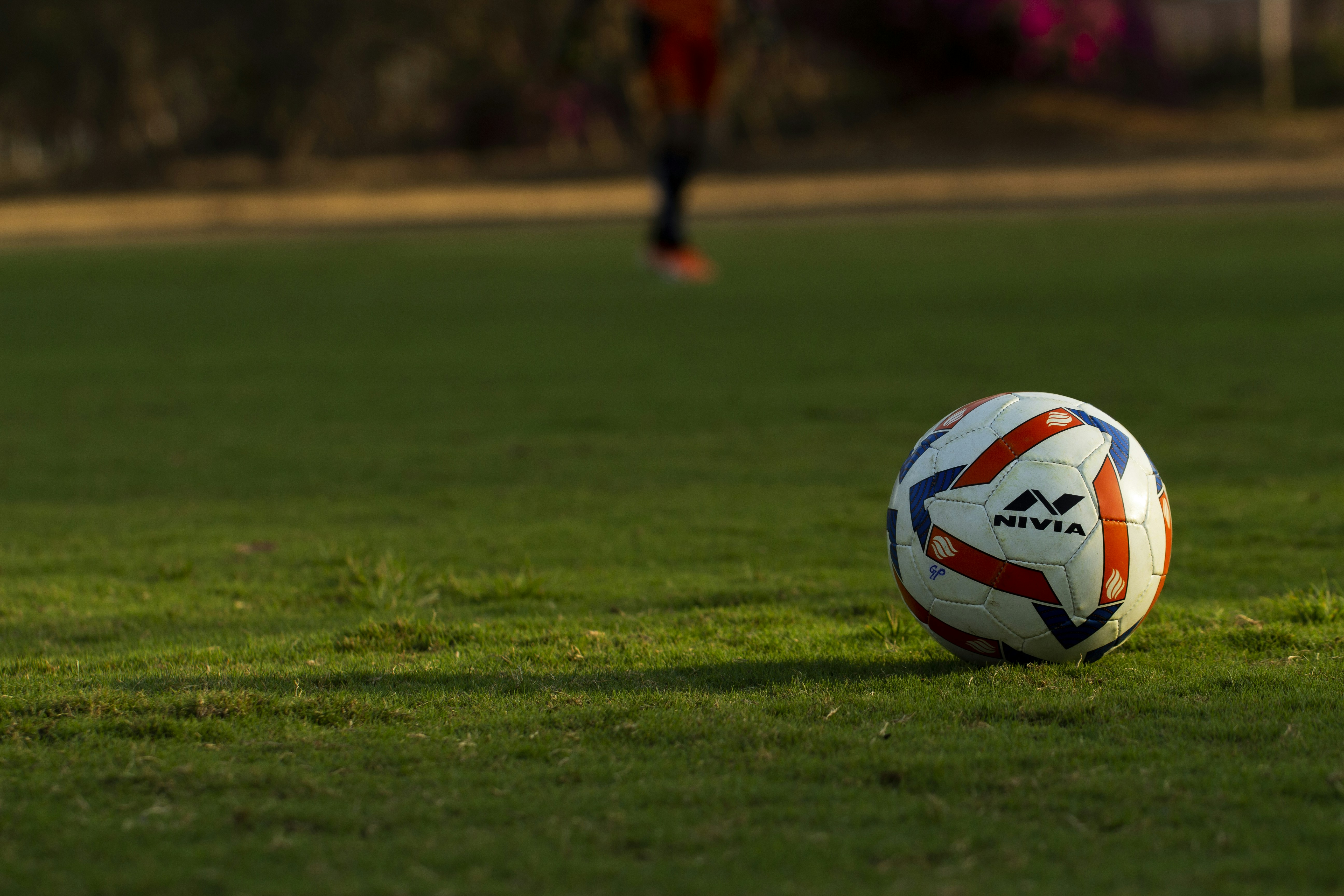A soccer ball rests on a green field.