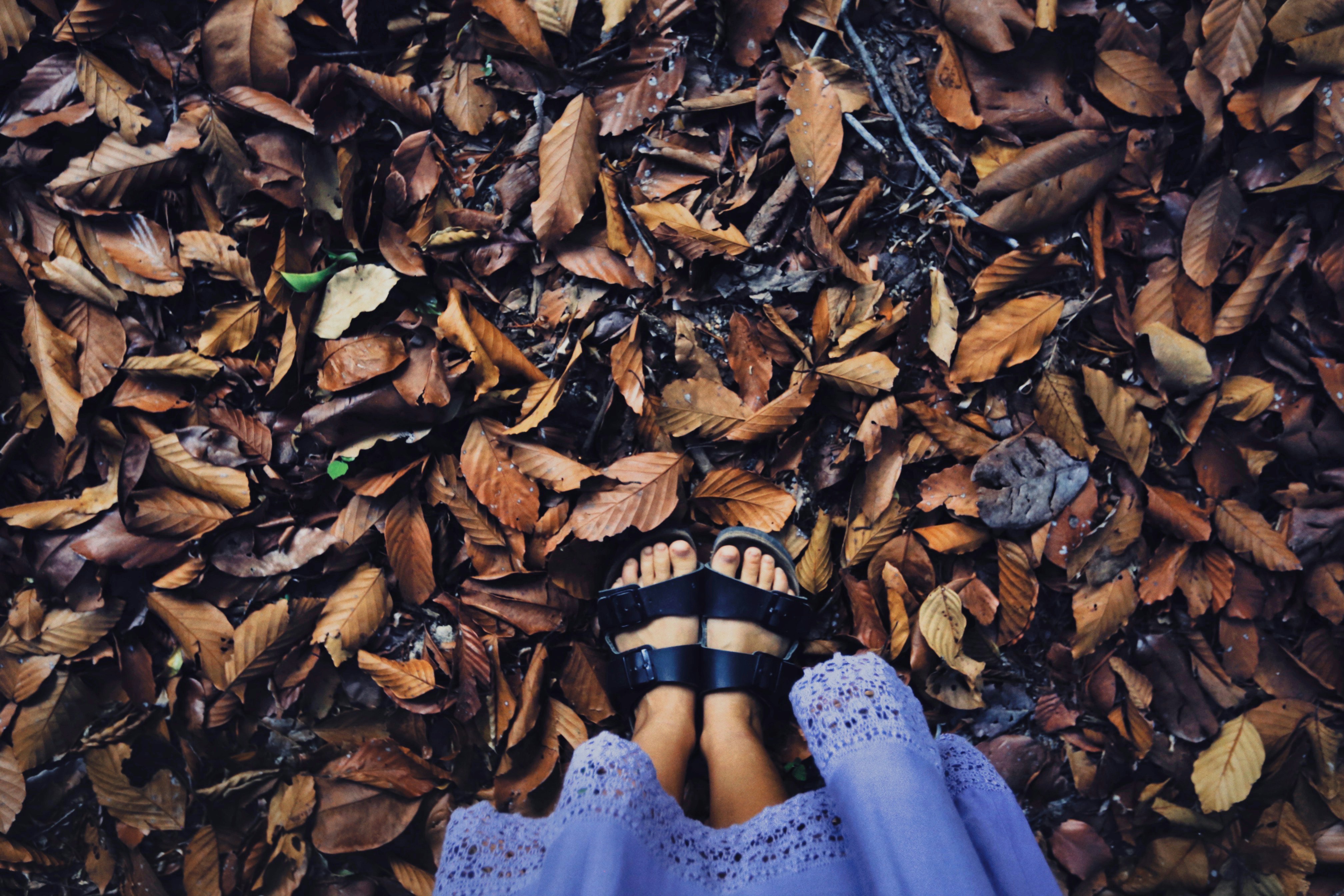 Photo by alexeydemidov