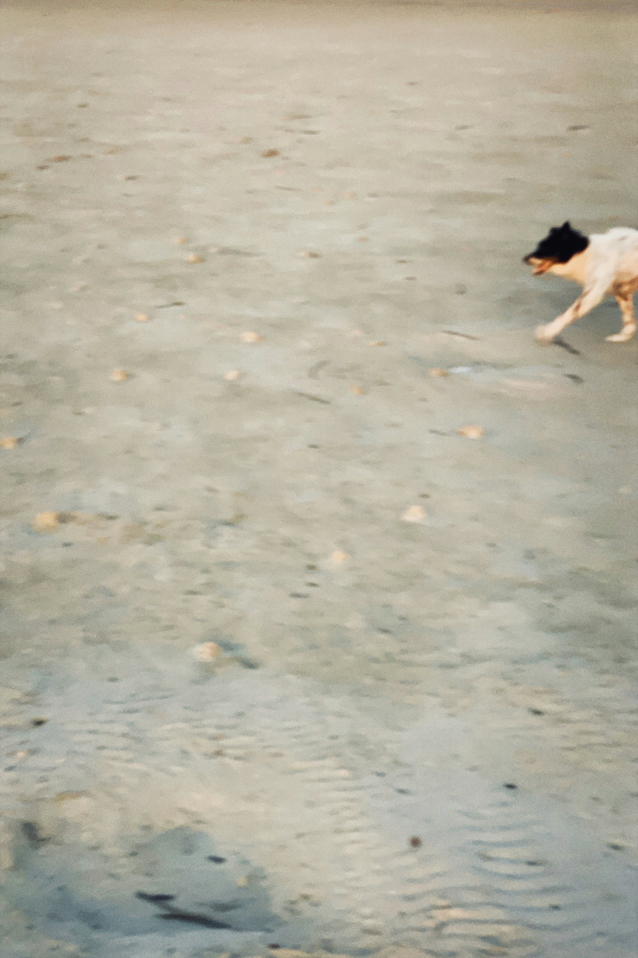 Photo by alexeydemidov