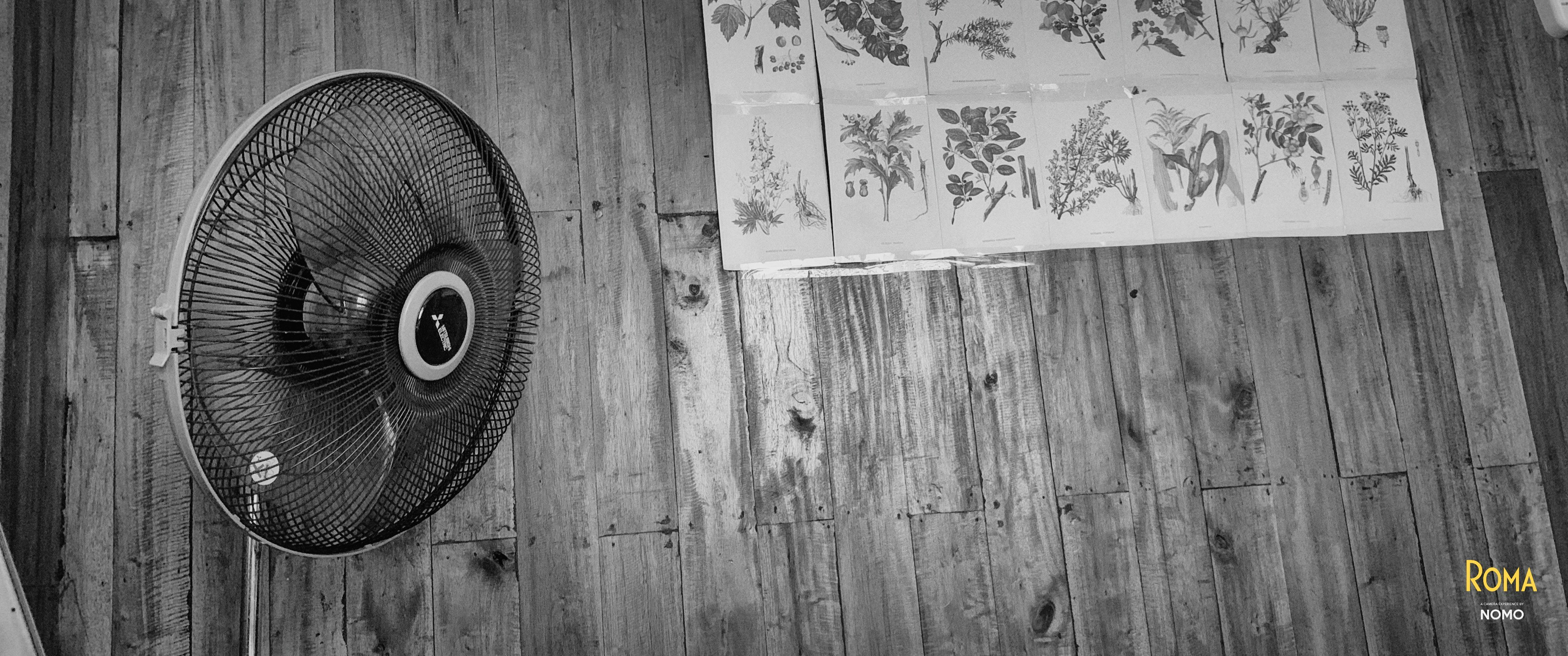 Photo by alexeydemidov