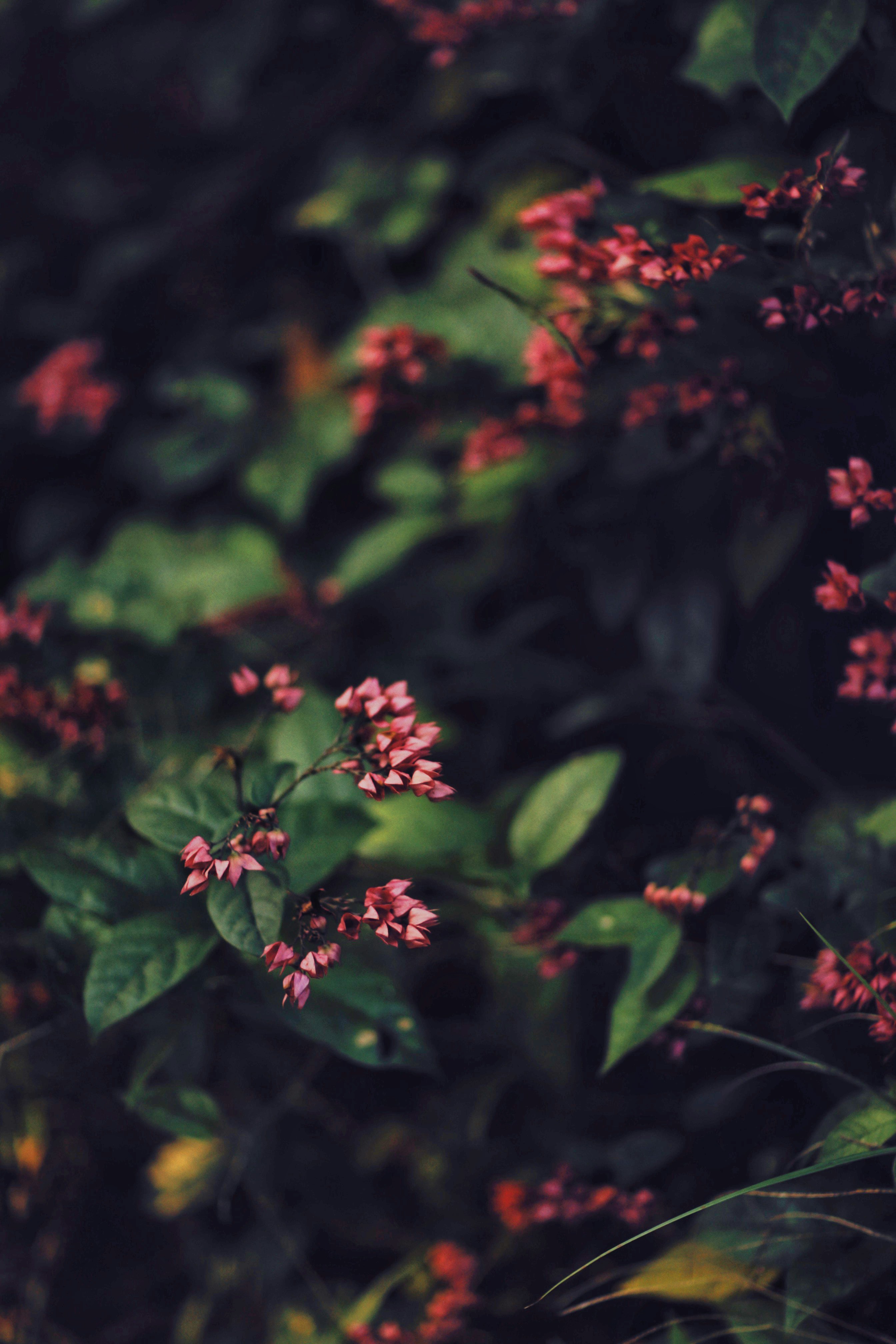 Photo by alexeydemidov