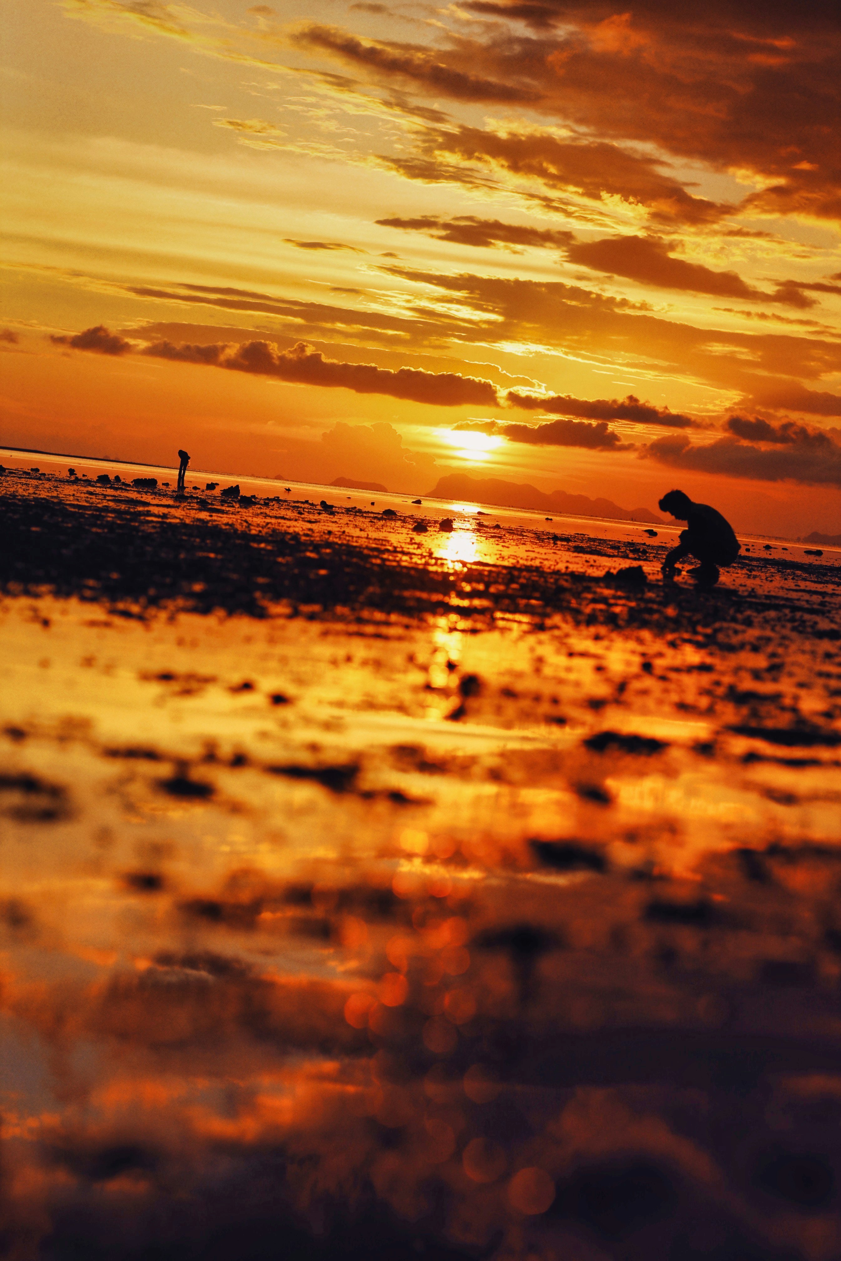 Photo by alexeydemidov