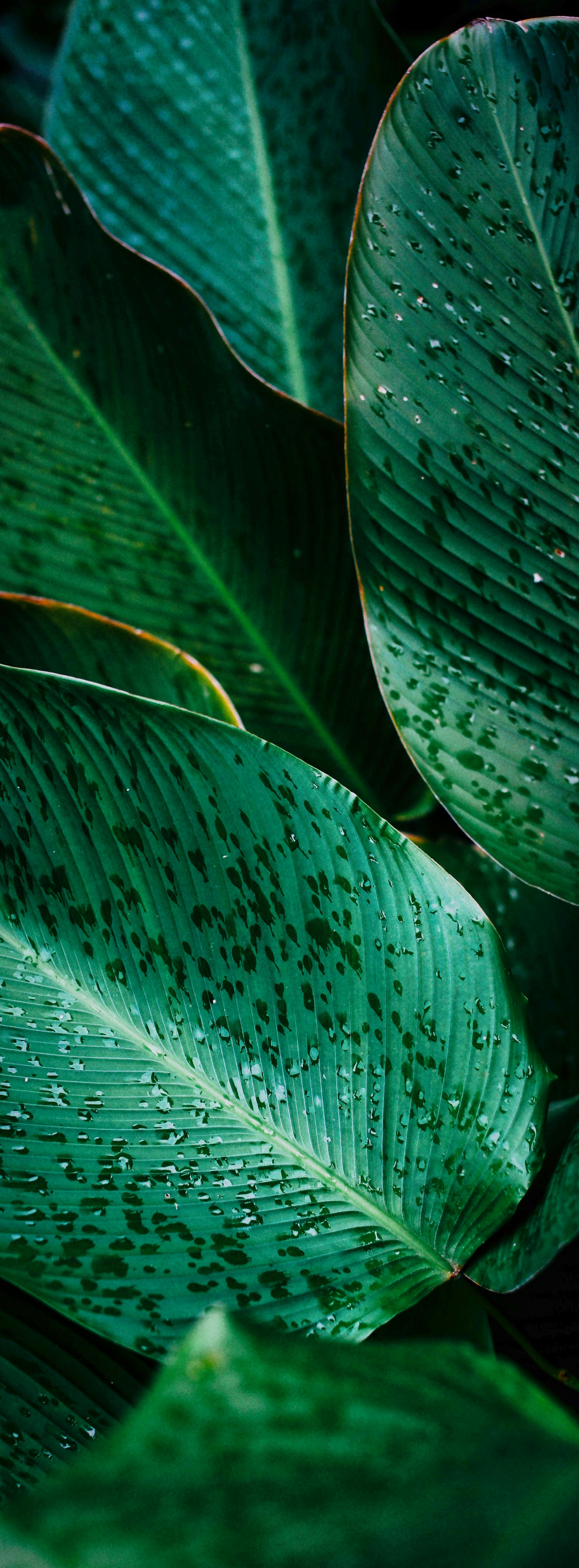 Photo by alexeydemidov