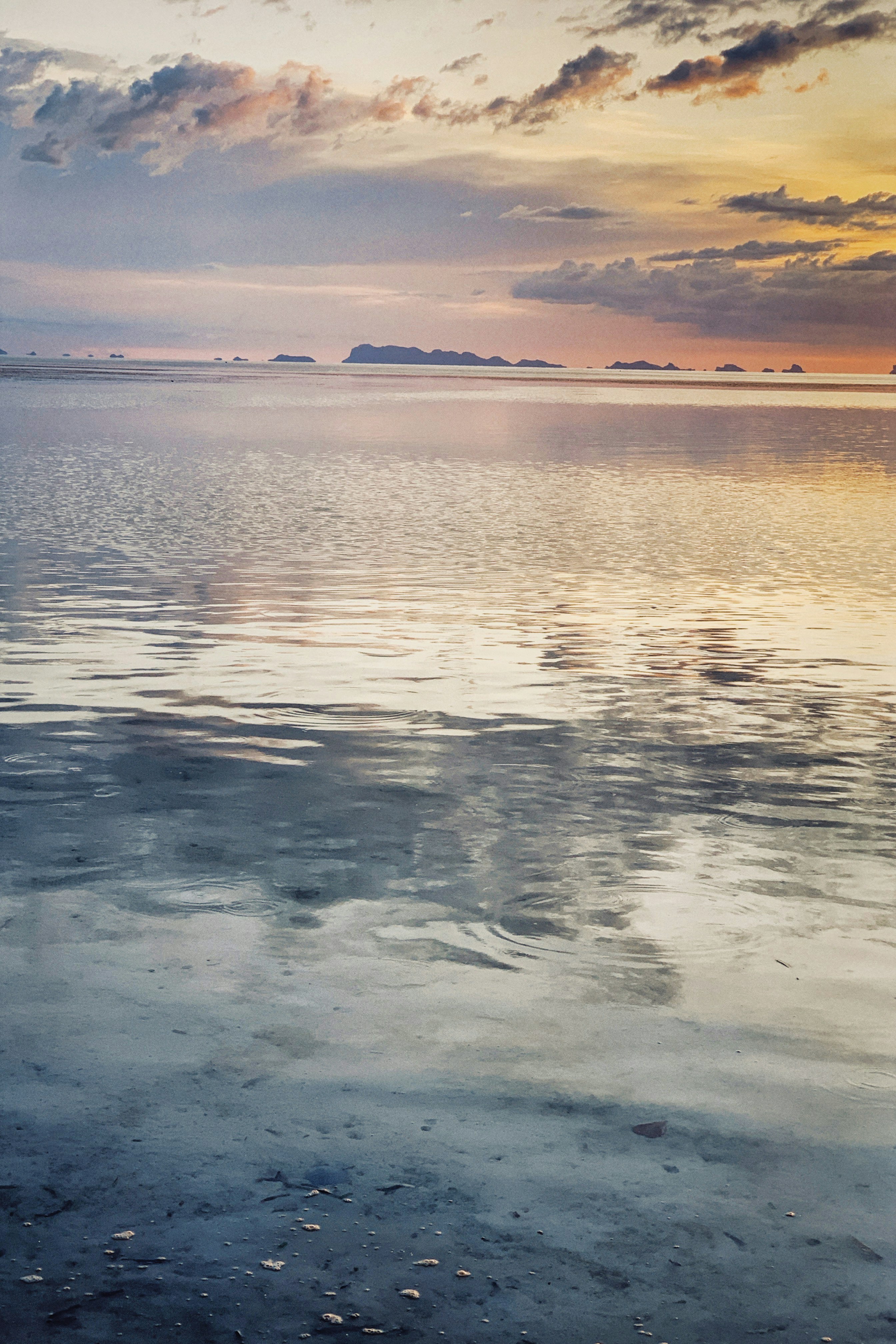 Photo by alexeydemidov