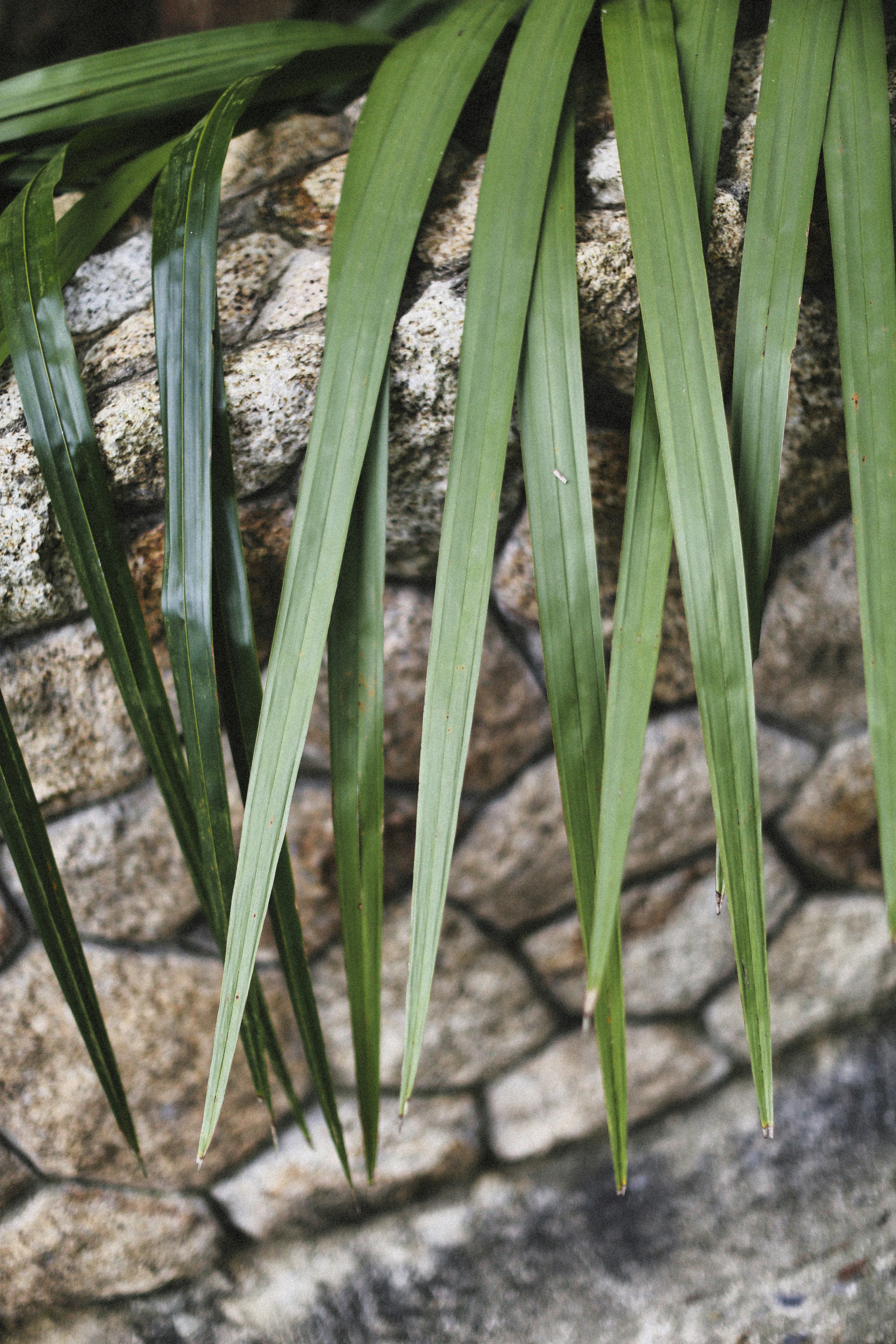 Photo by alexeydemidov