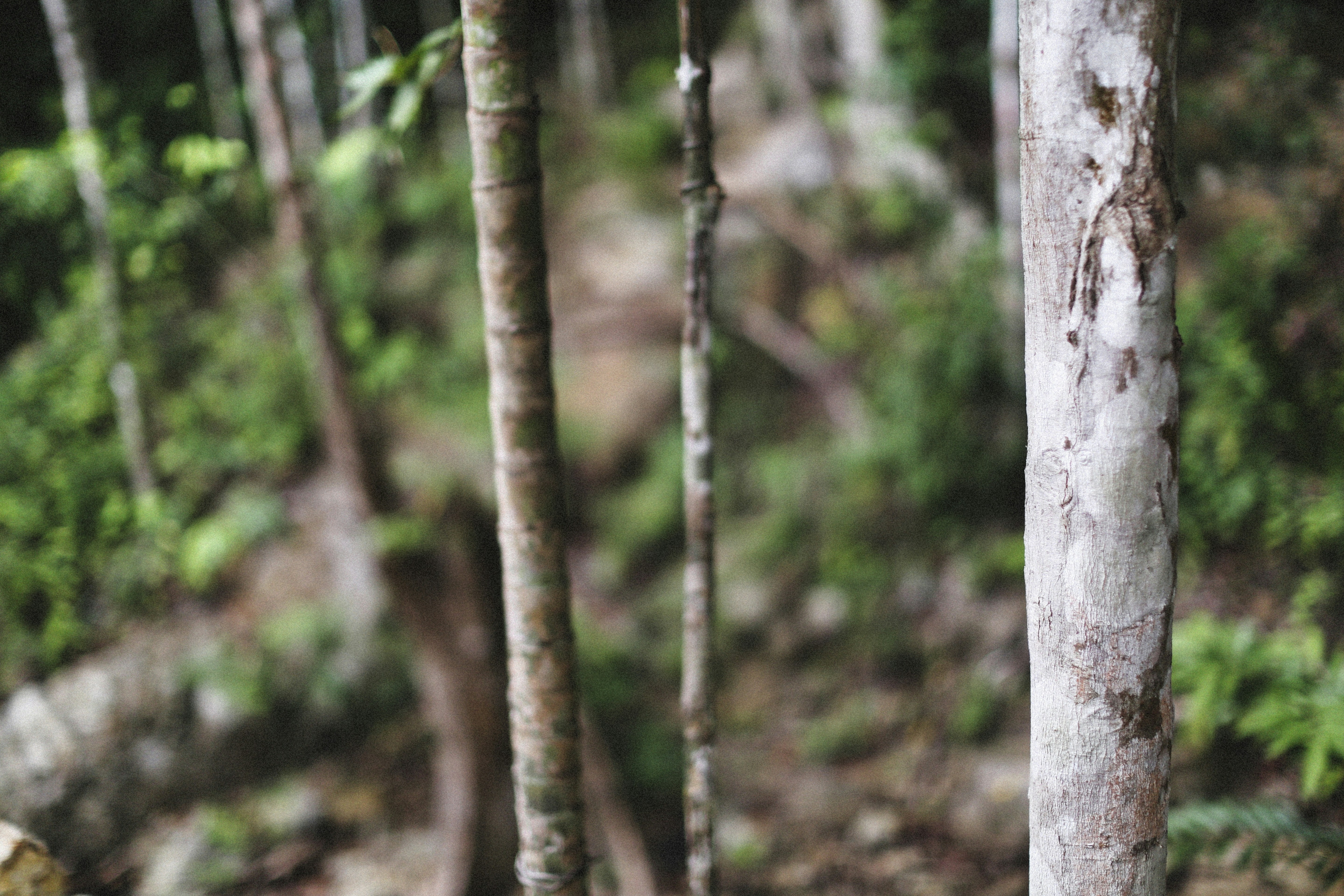 Photo by alexeydemidov