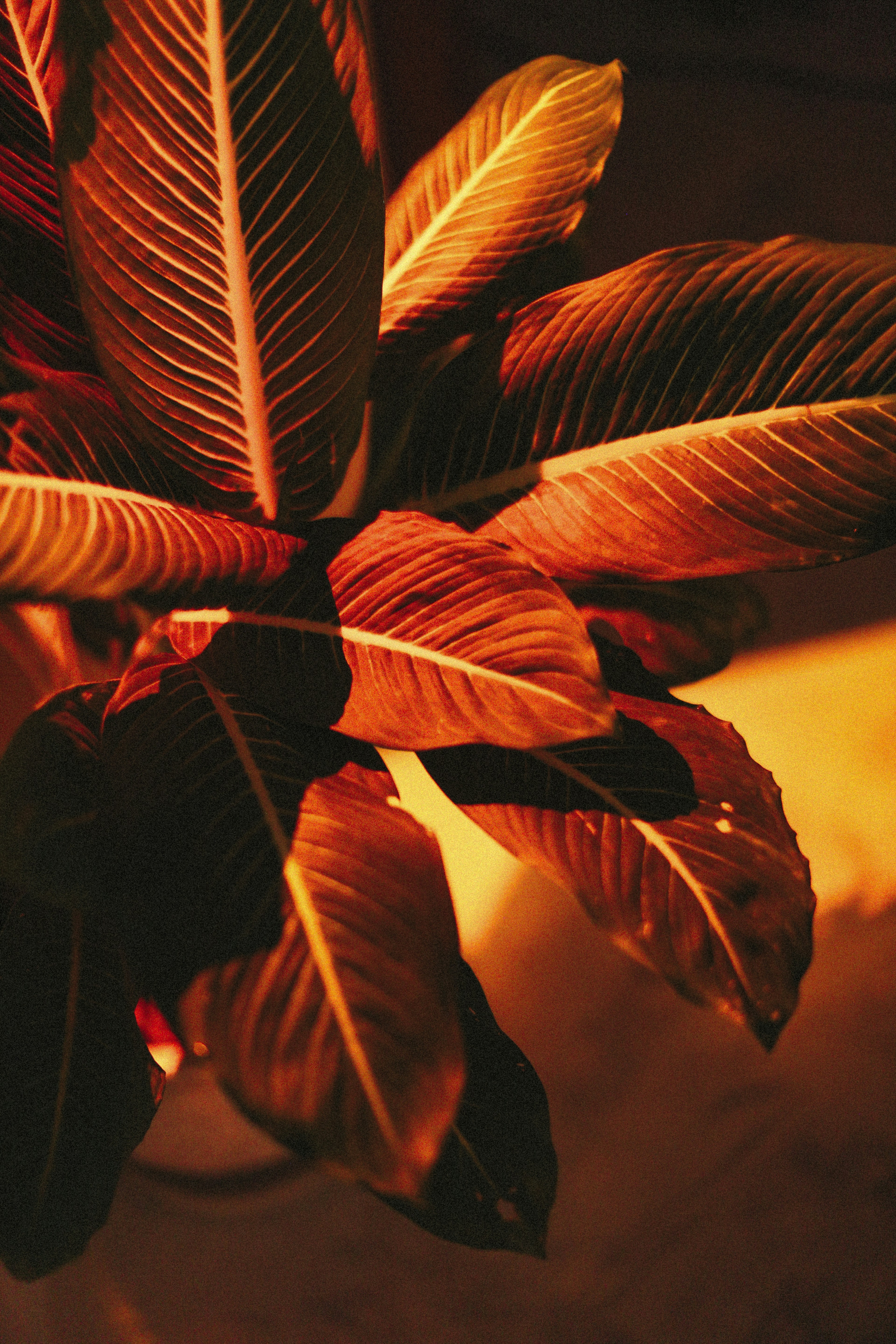 Photo by alexeydemidov