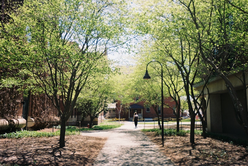 SpeedQuizzing at The Windmill