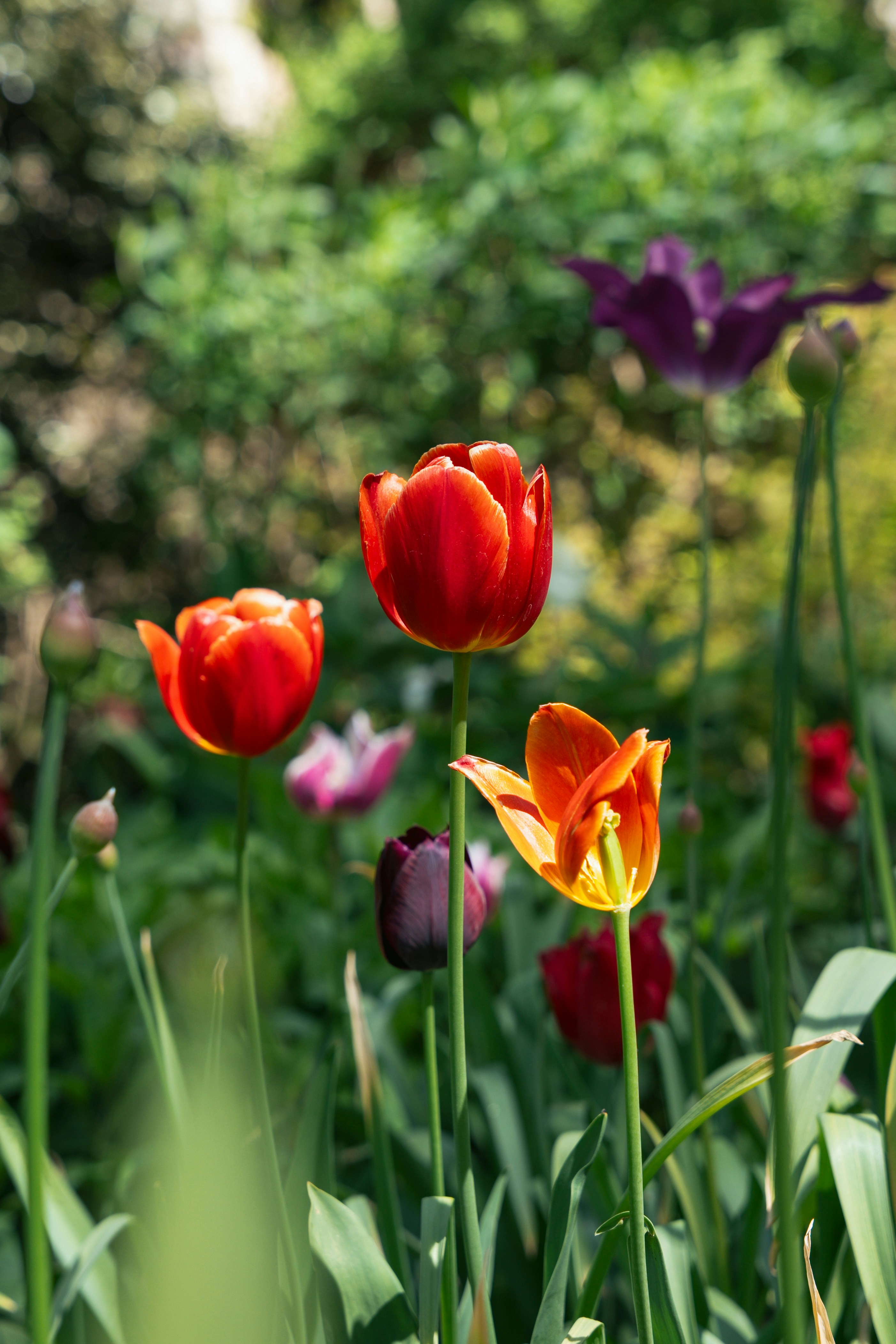 Photo by sophiegerrie