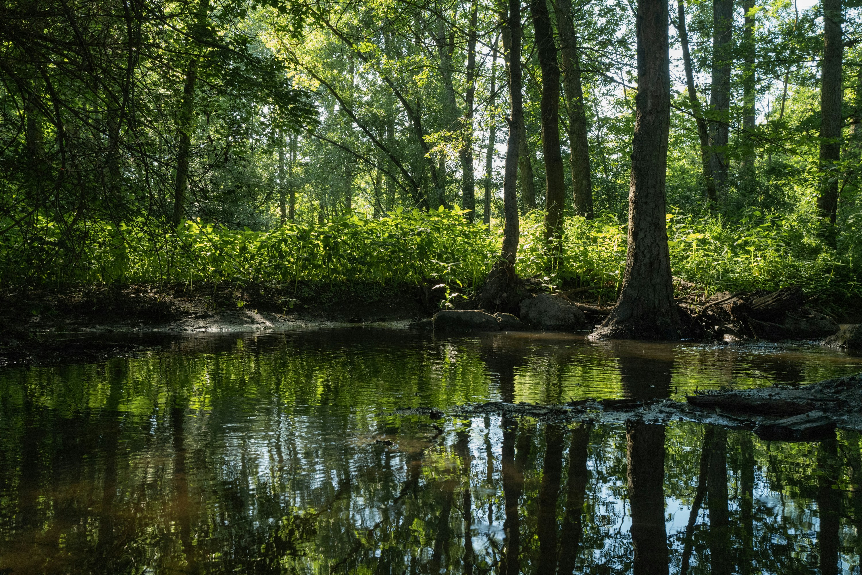 Photo by maikastheimer