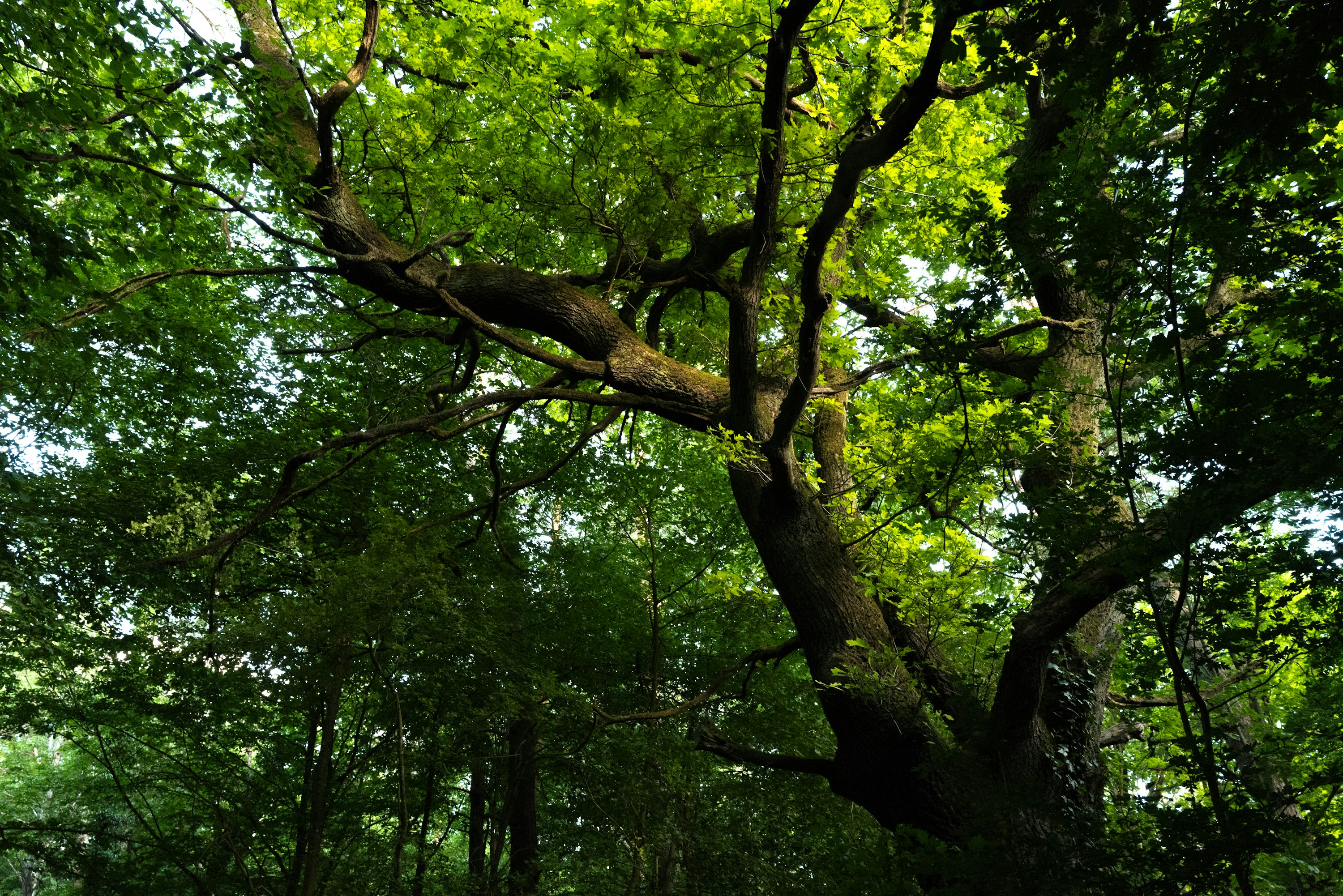 Photo by maikastheimer