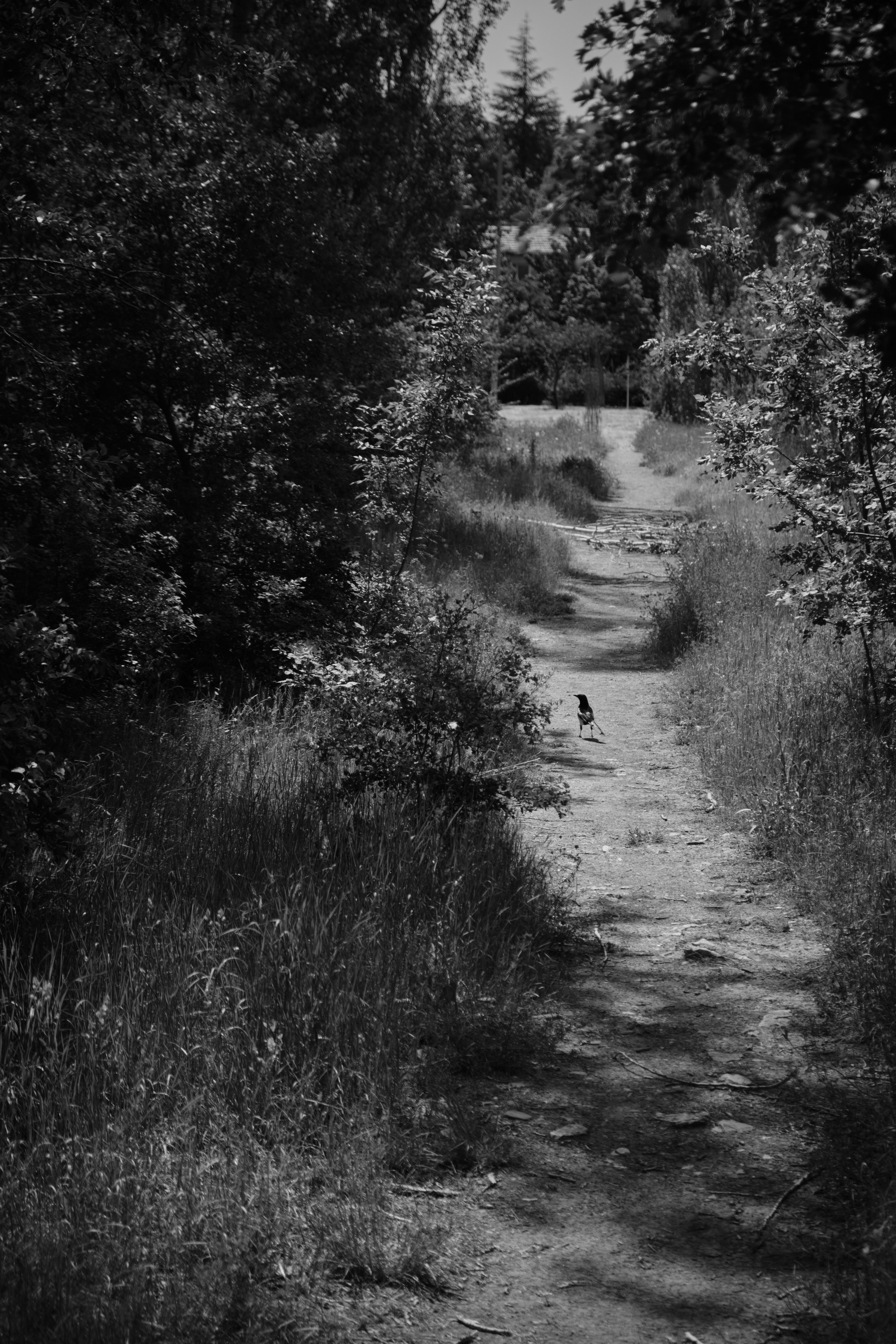 Photo by ismailefetop