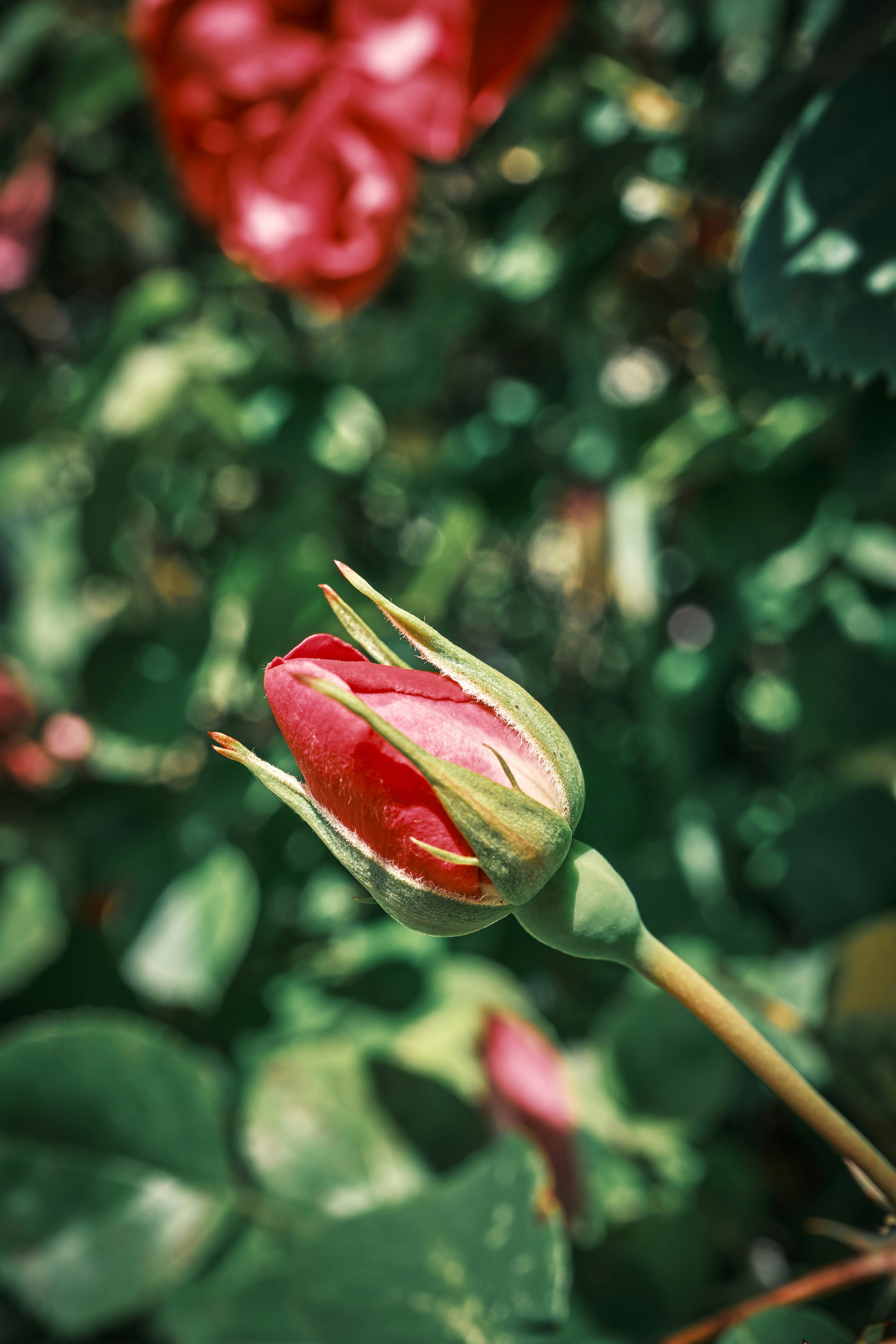 Photo by marcus_ganahl