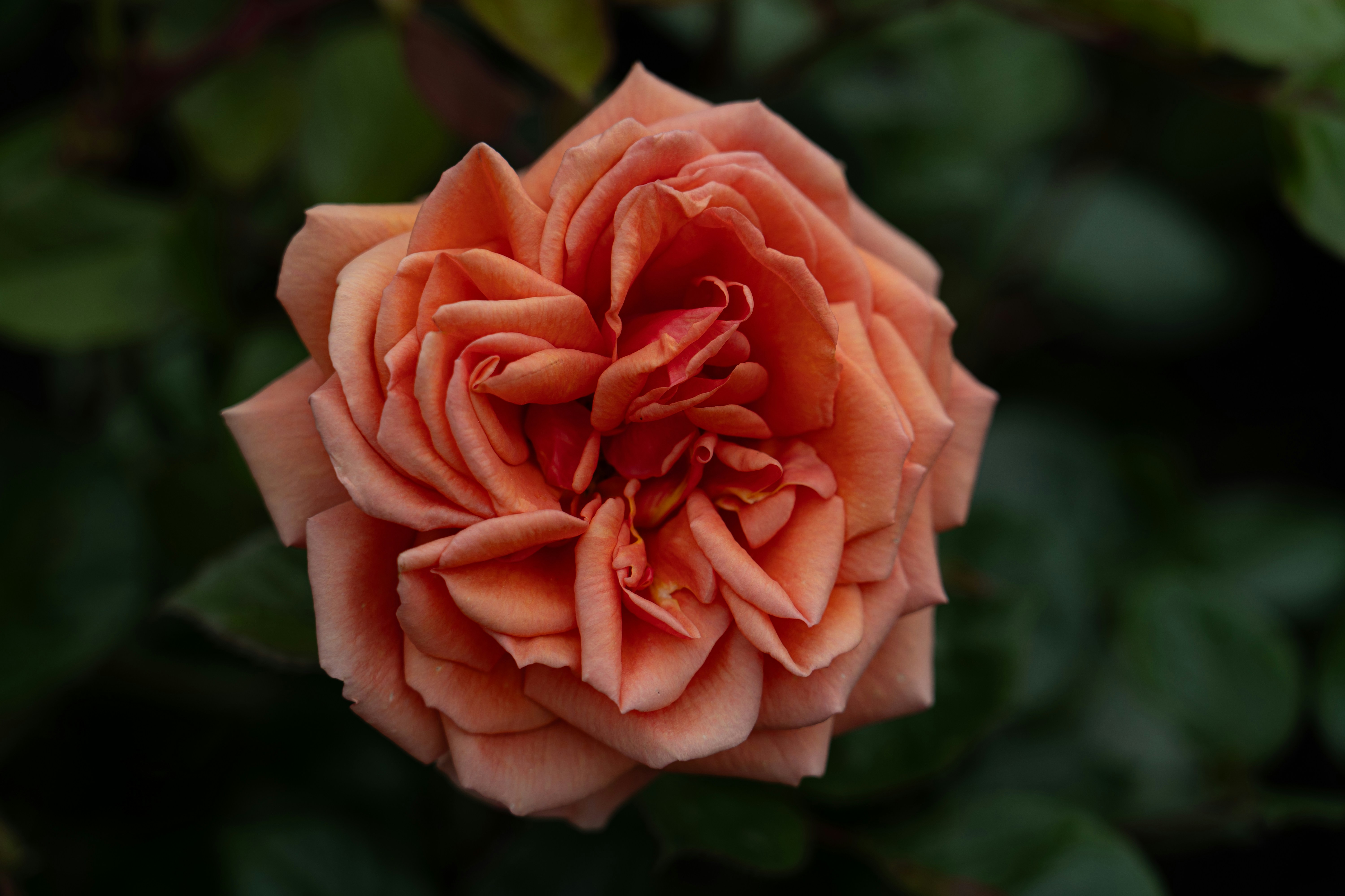 Photo by samuel_hagger