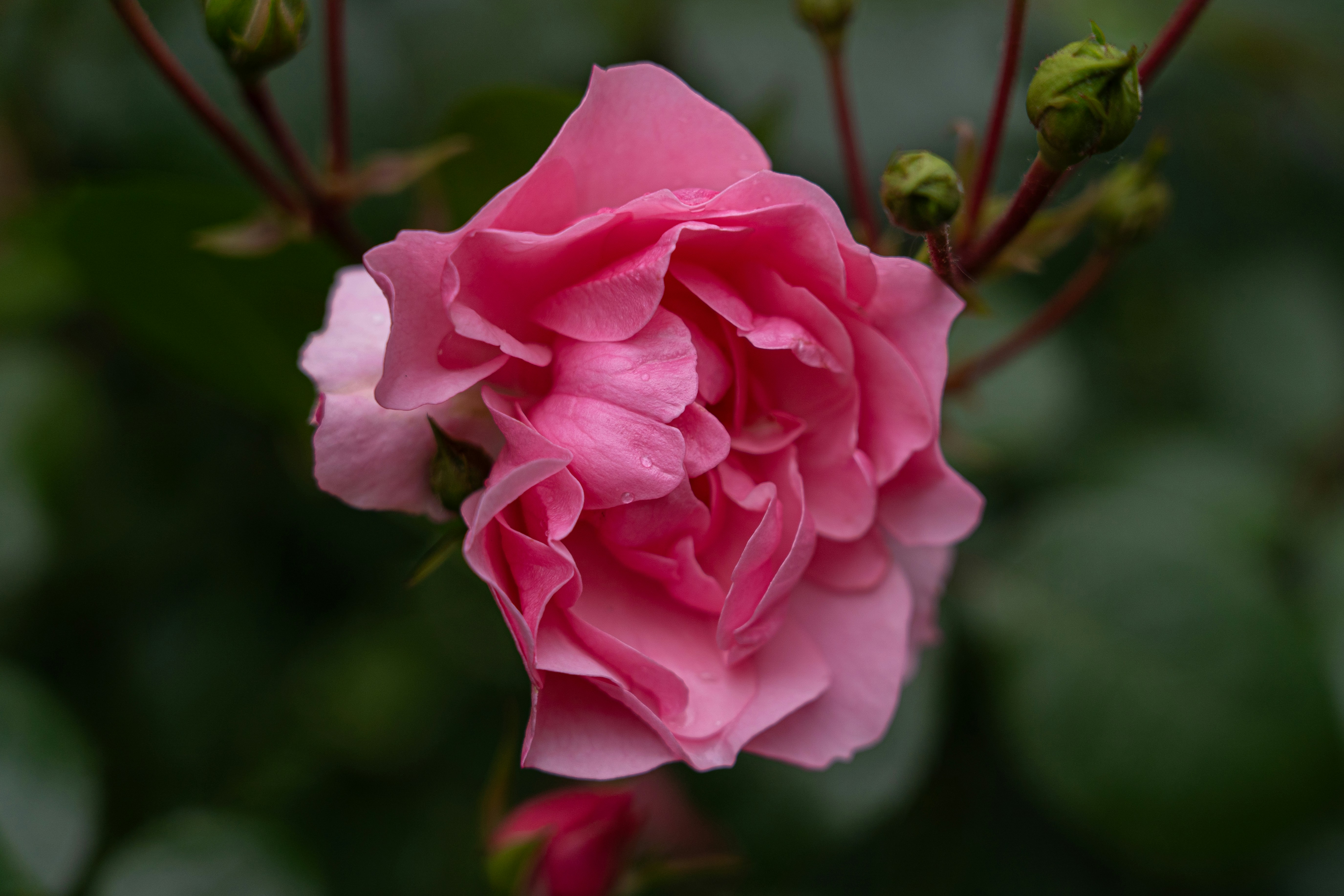 Photo by samuel_hagger