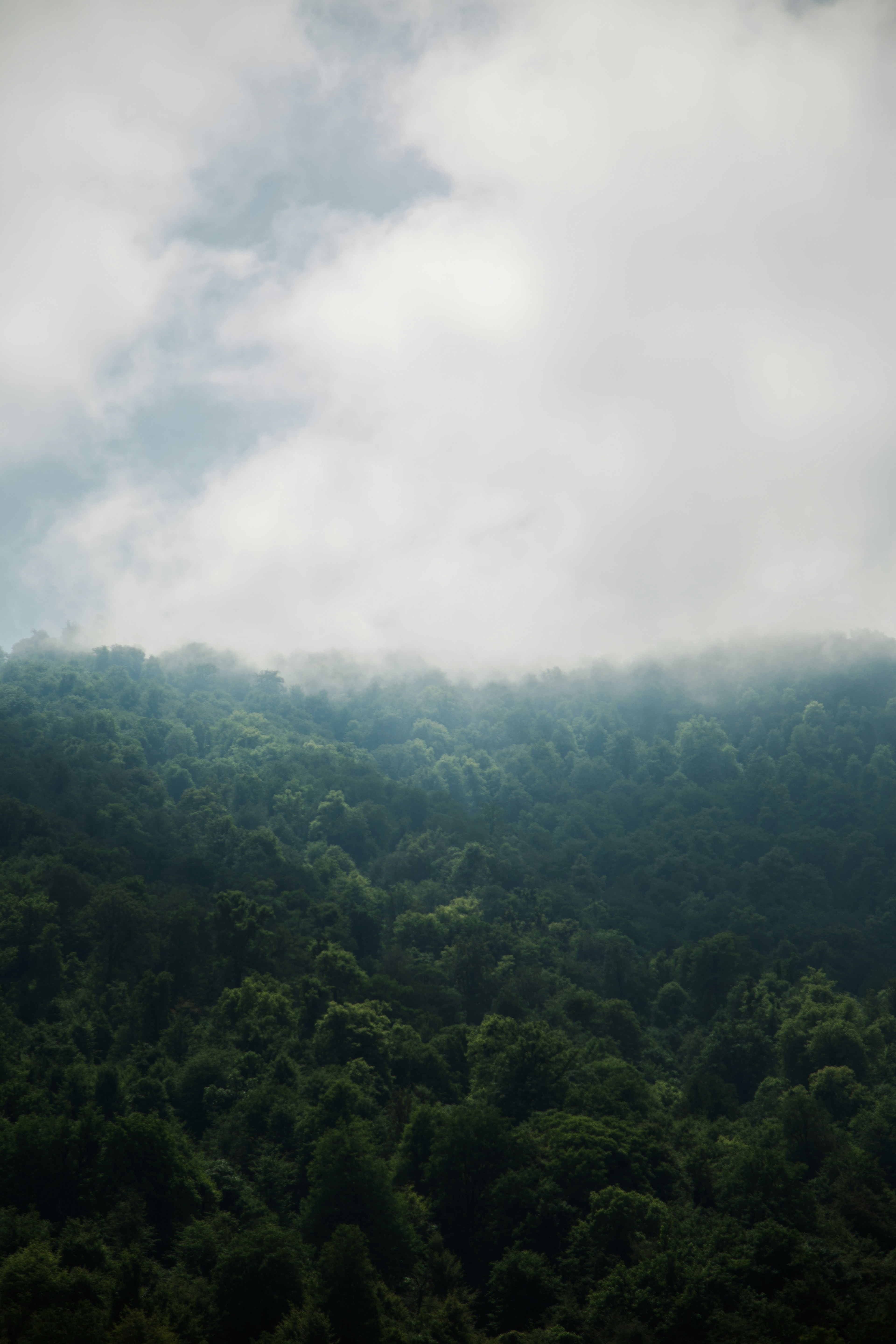 Photo by mrcharkhgard