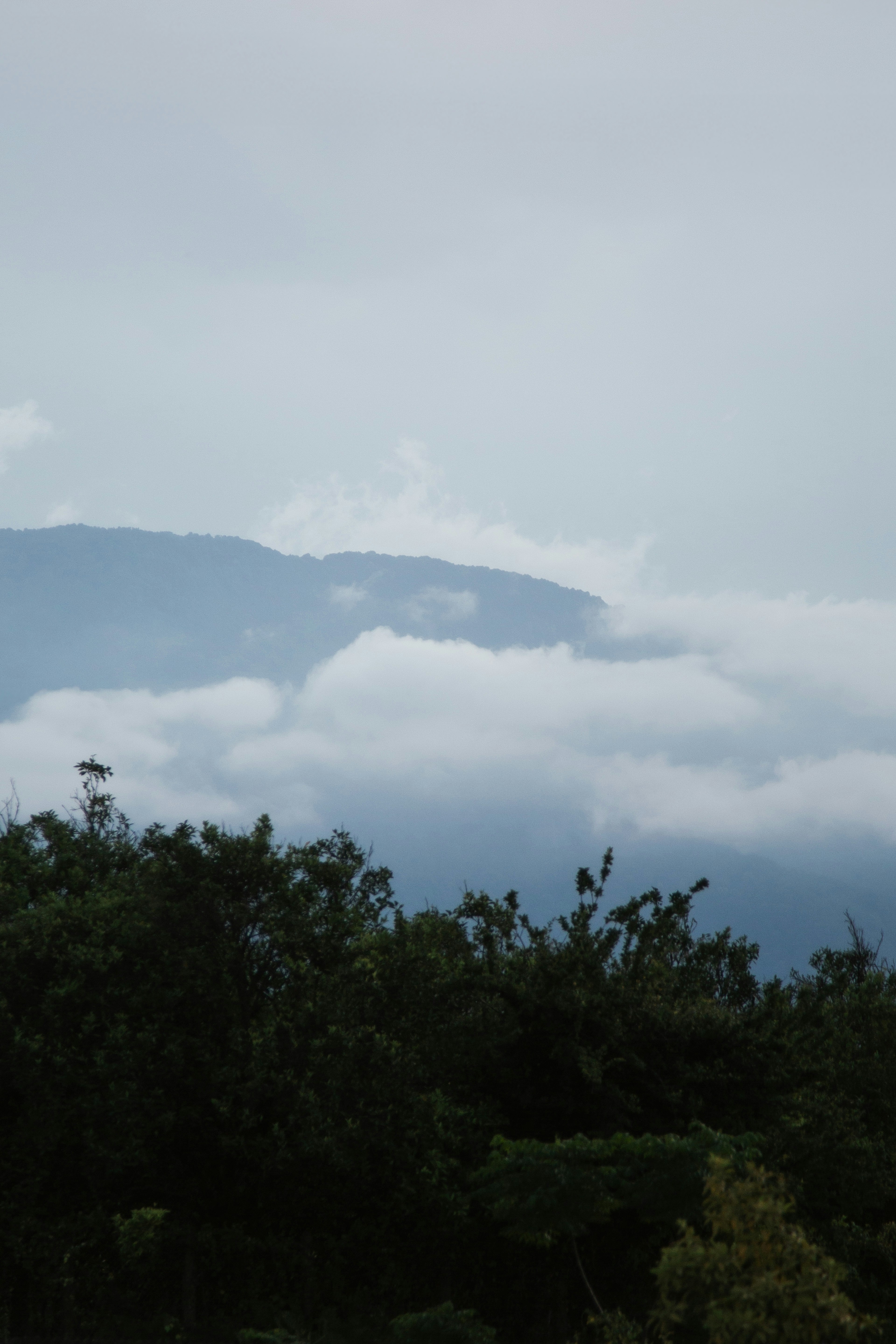 Photo by mrcharkhgard