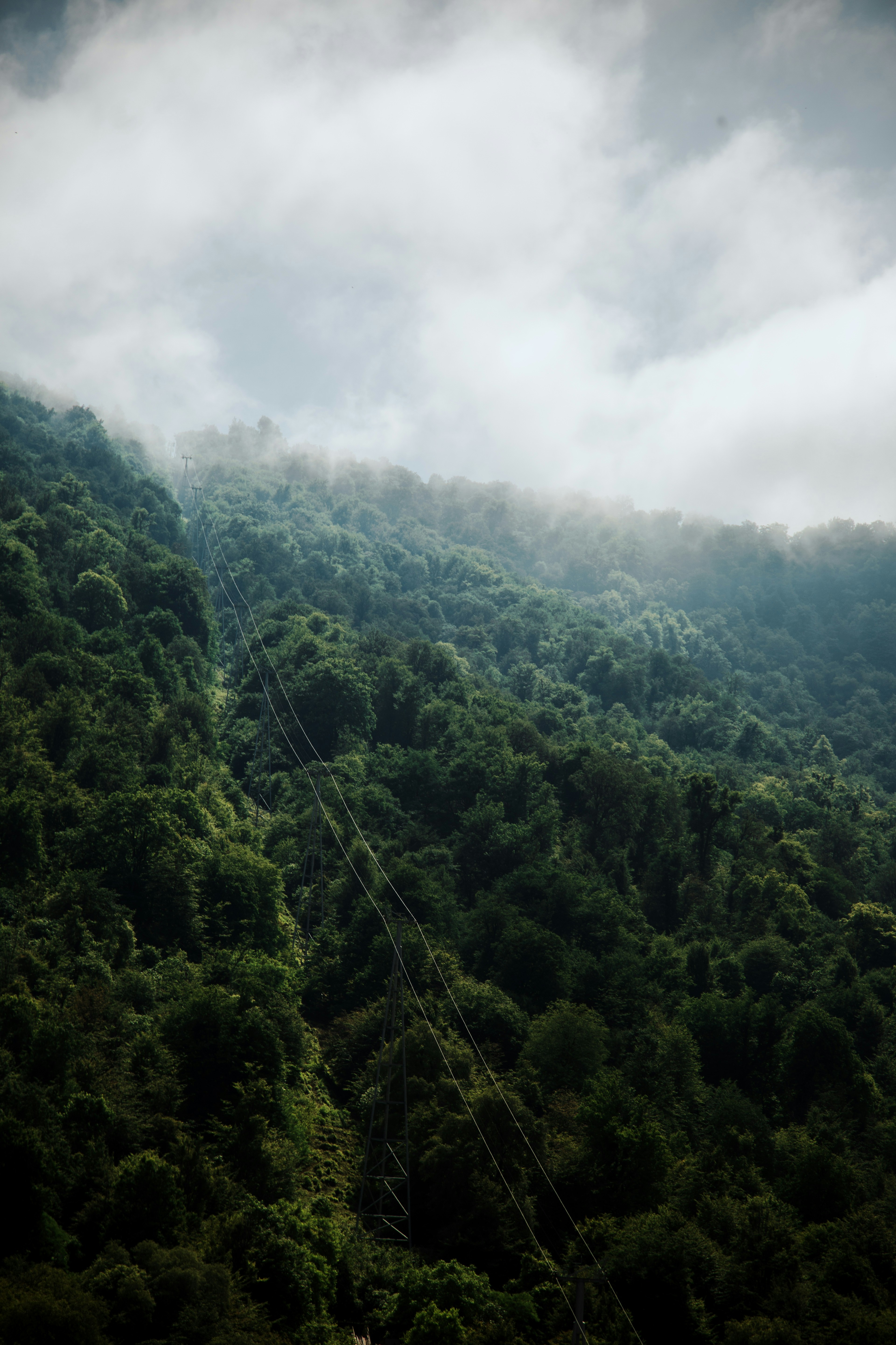 Photo by mrcharkhgard