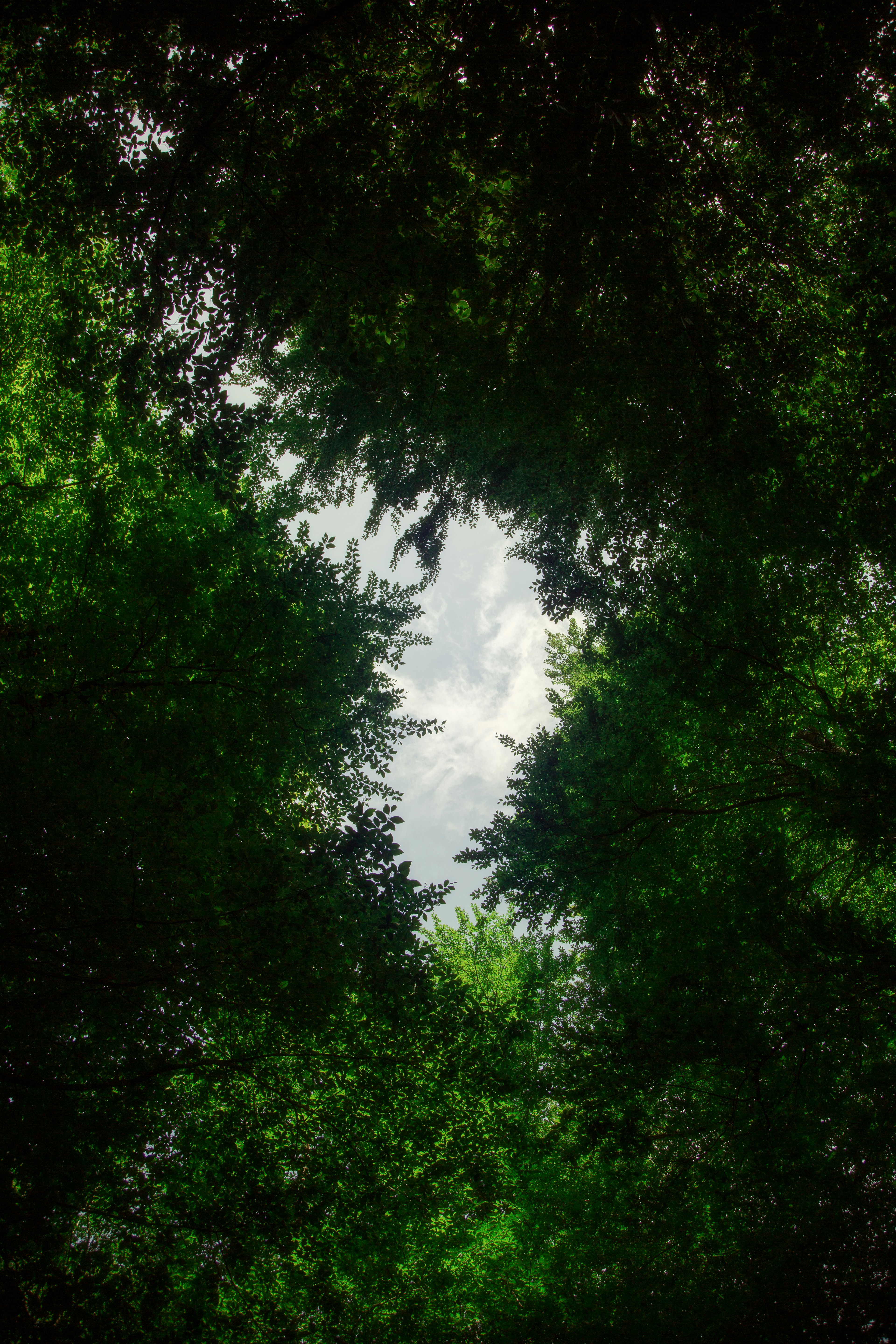 Photo by mrcharkhgard