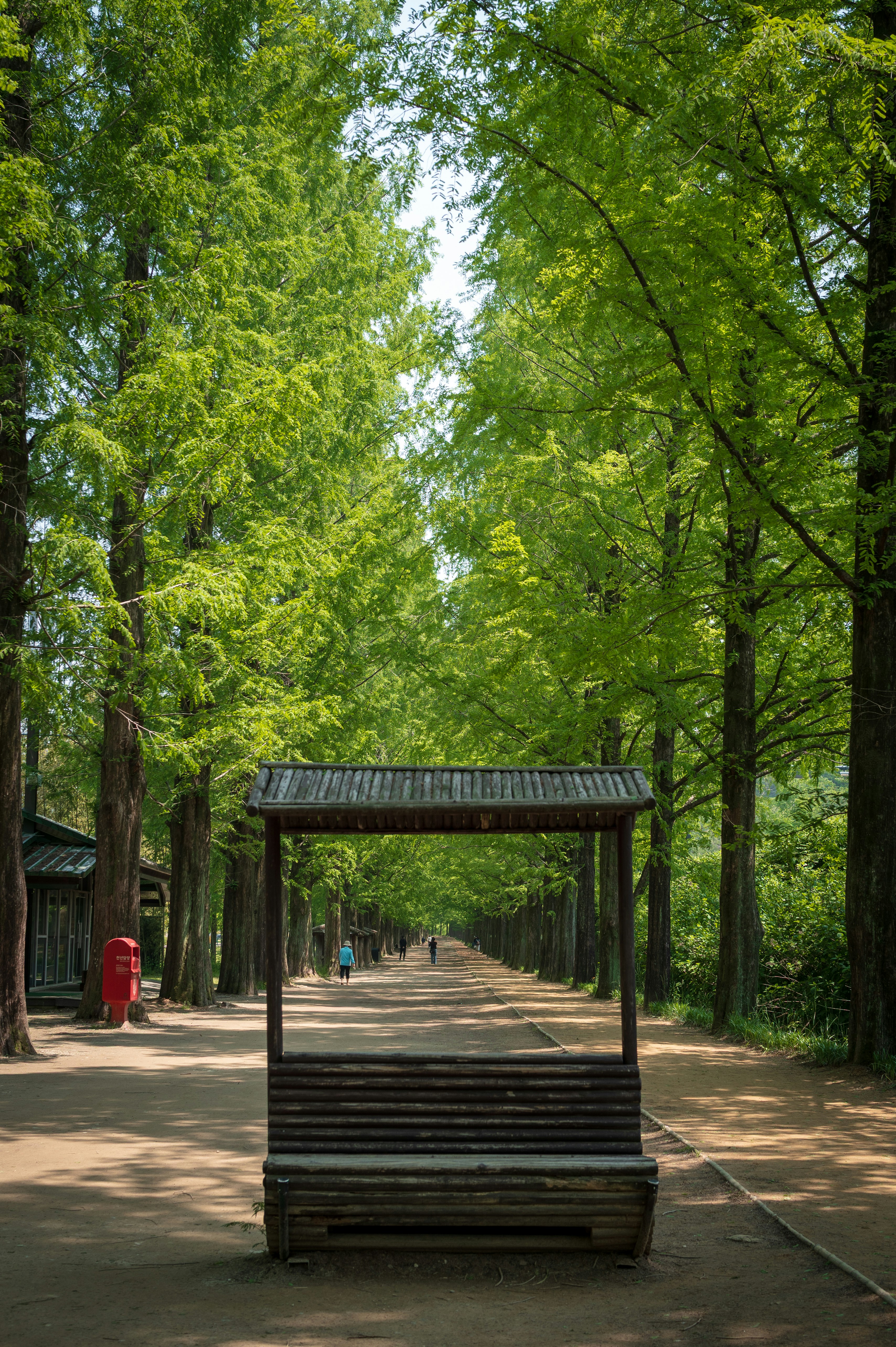 Daan Forest Park photo 3