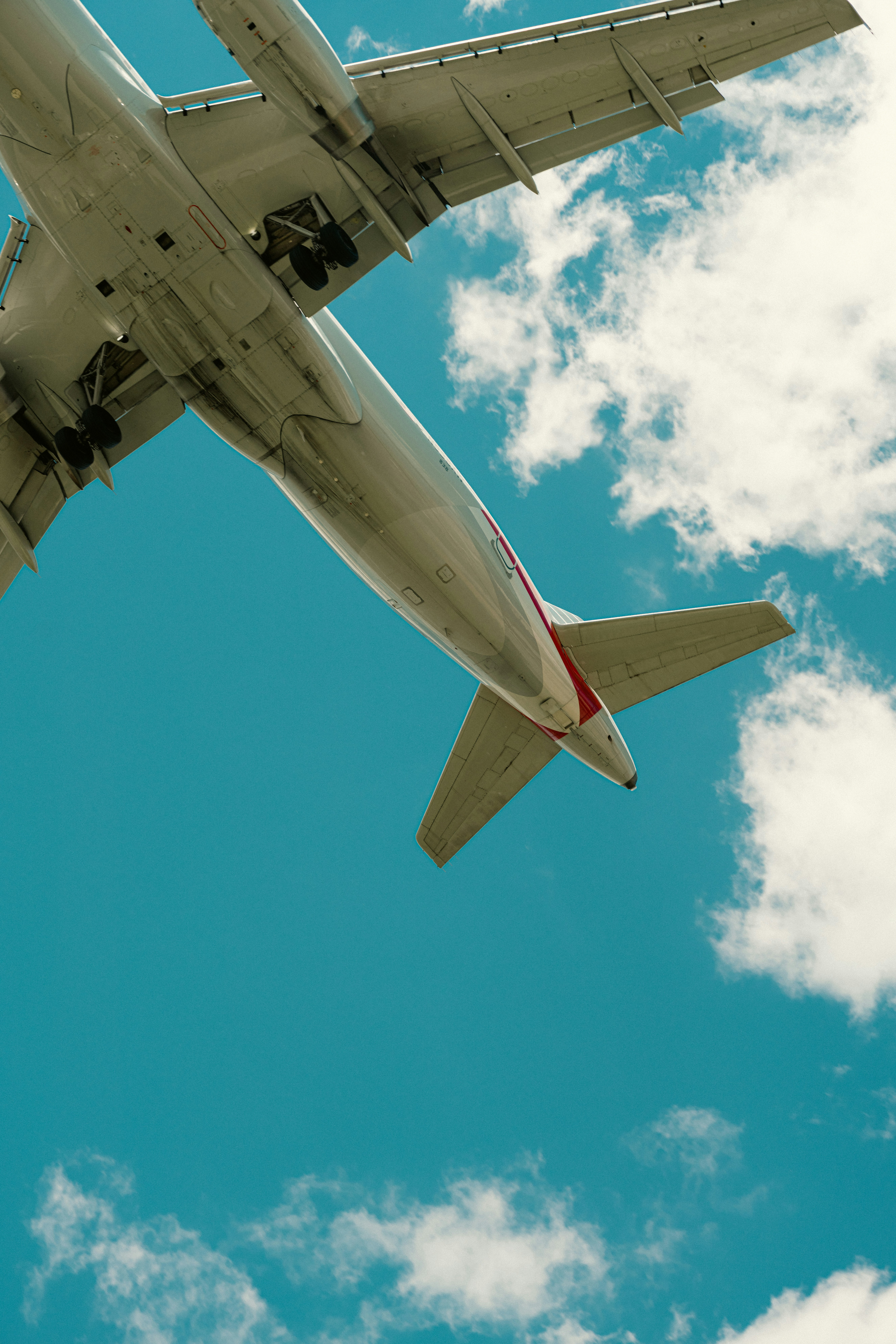 Photo by nellie_adamyan