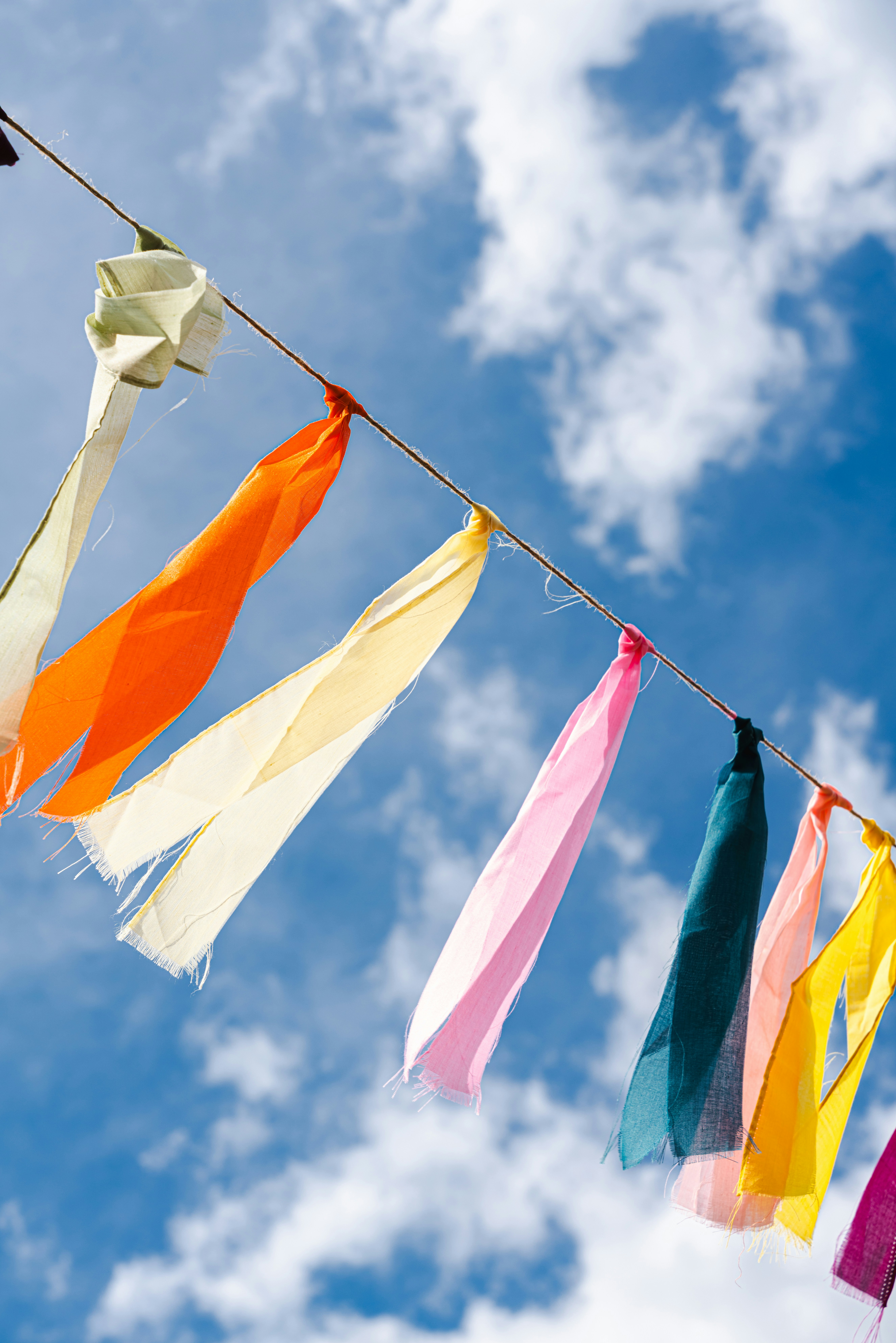 Photo by nellie_adamyan