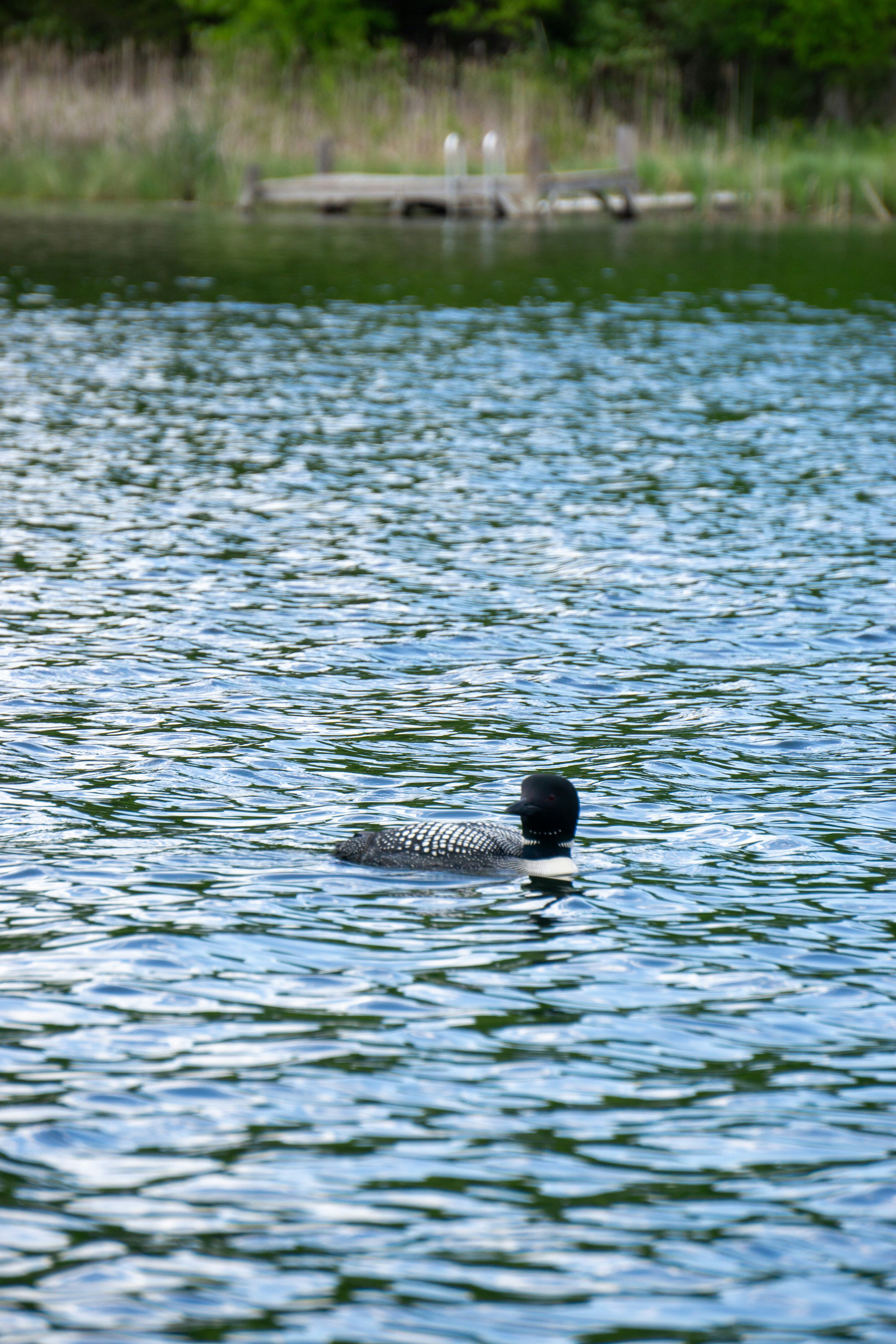 Photo by nickringsmuth