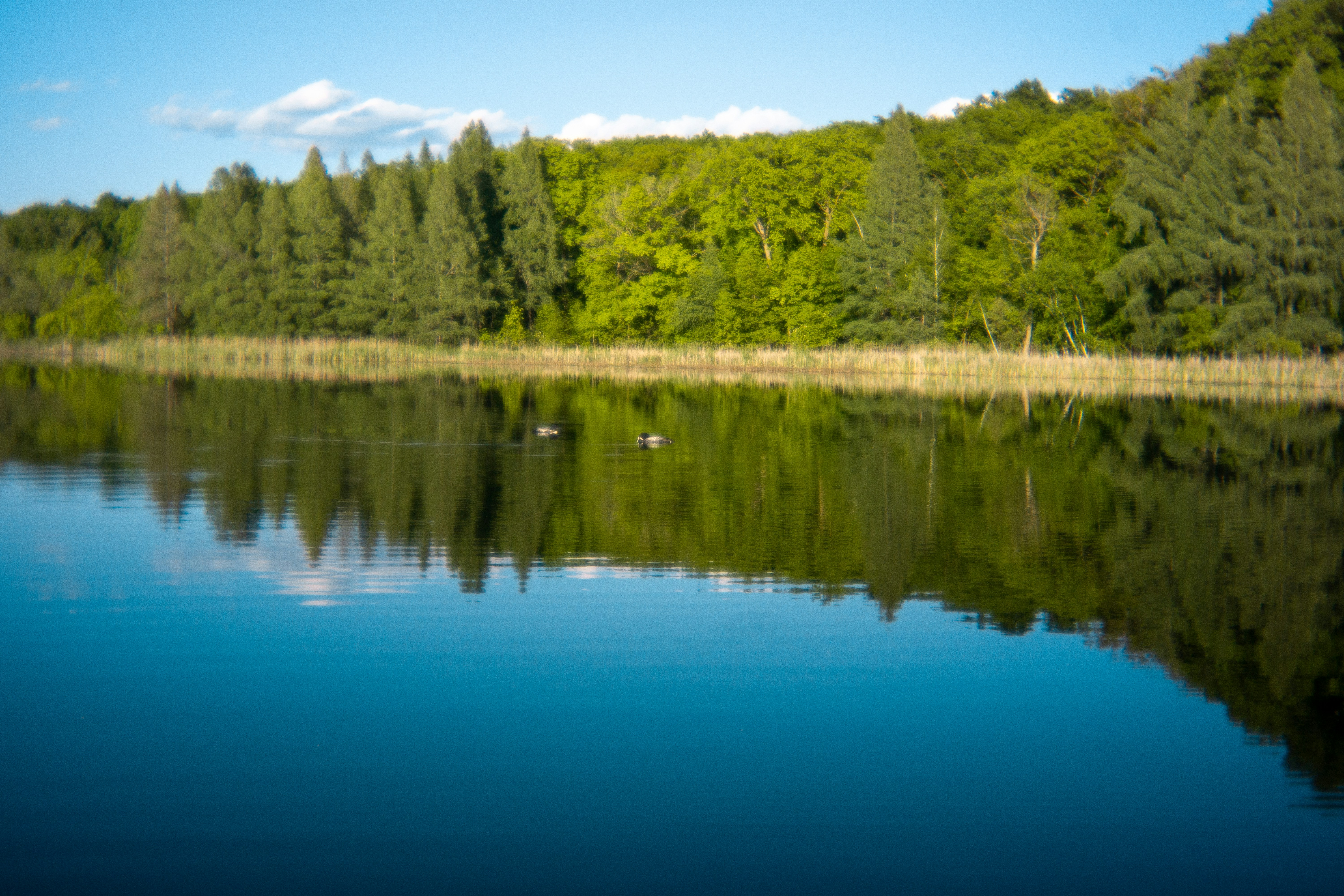 Photo by nickringsmuth