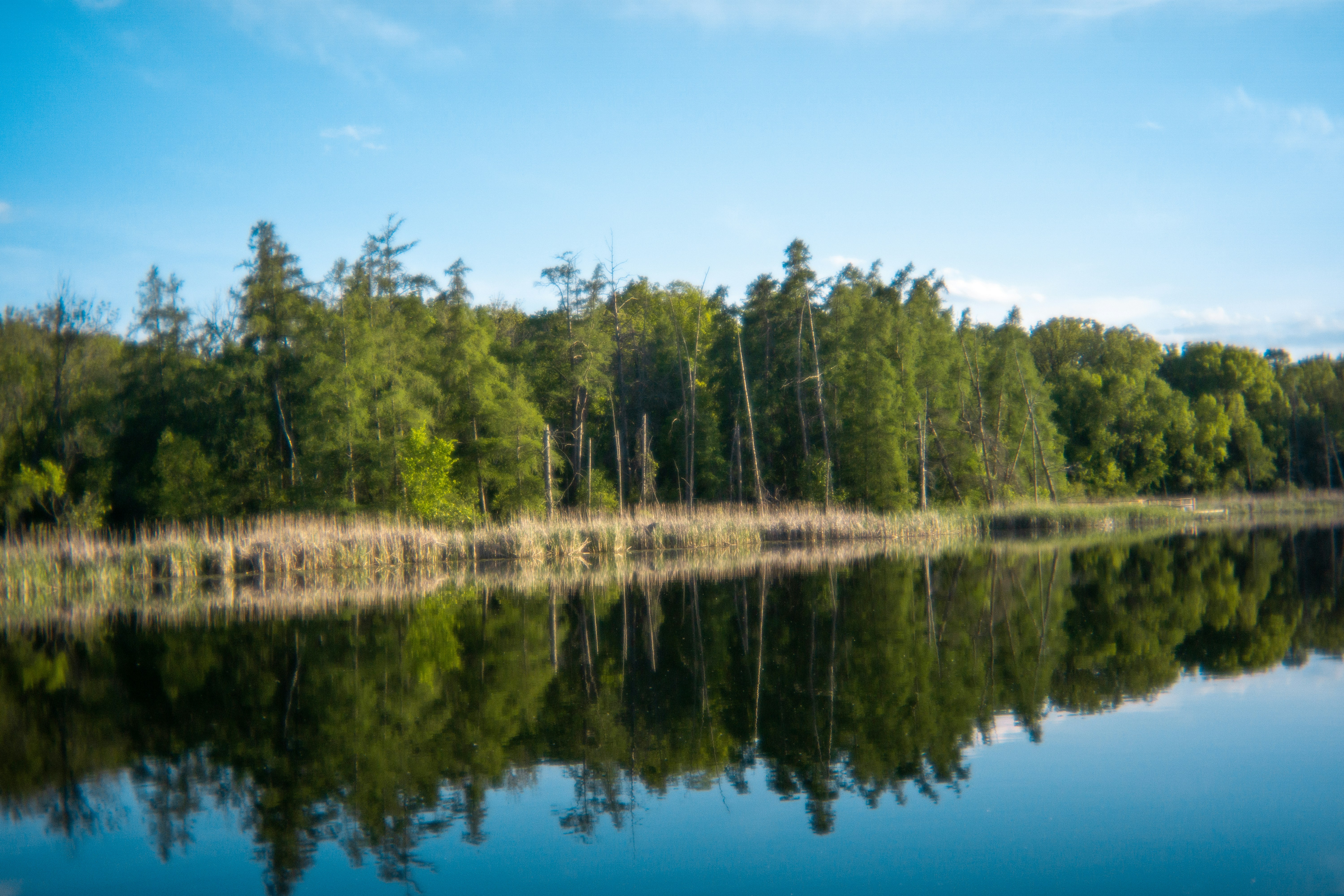 Photo by nickringsmuth