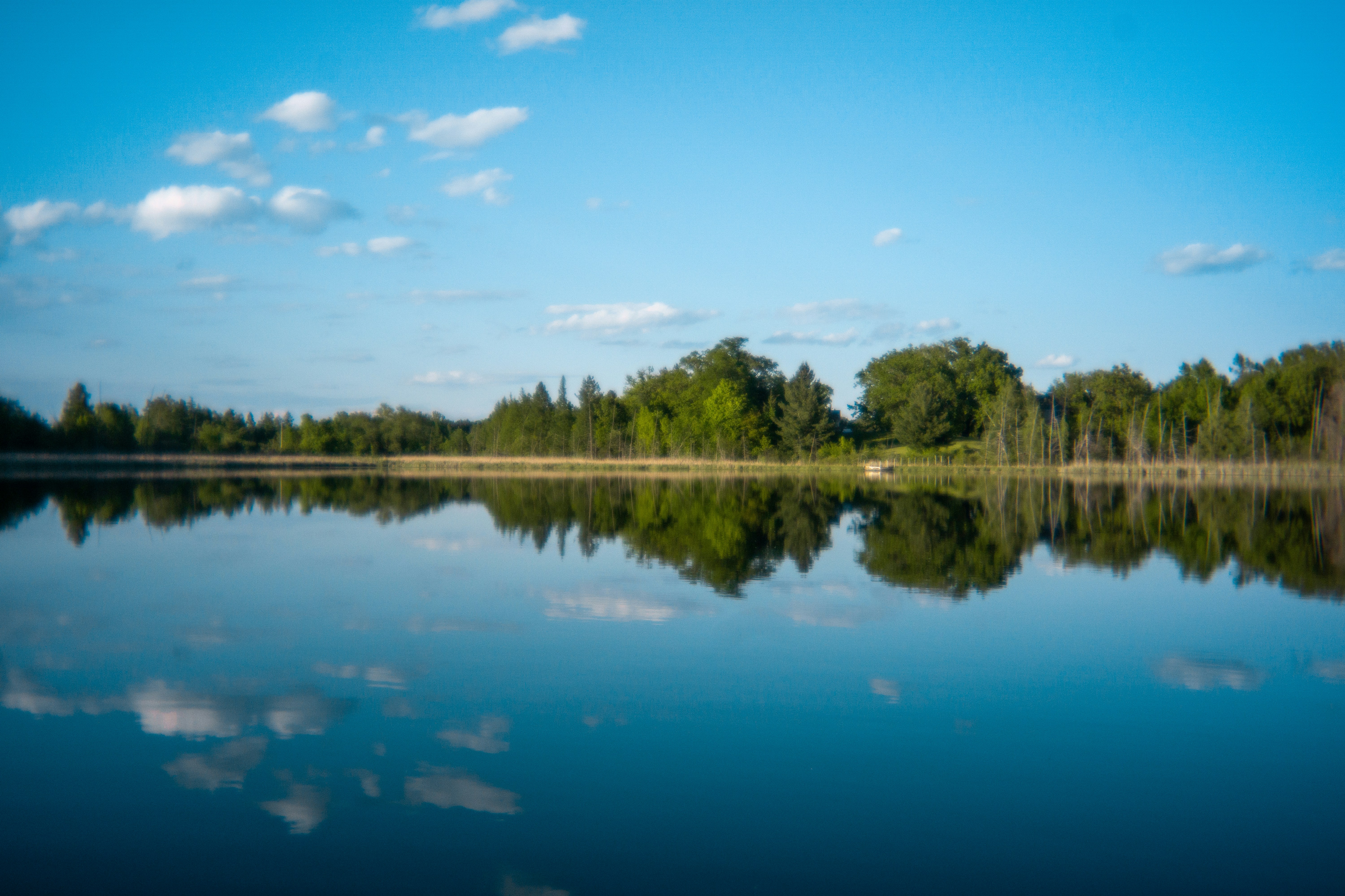 Photo by nickringsmuth