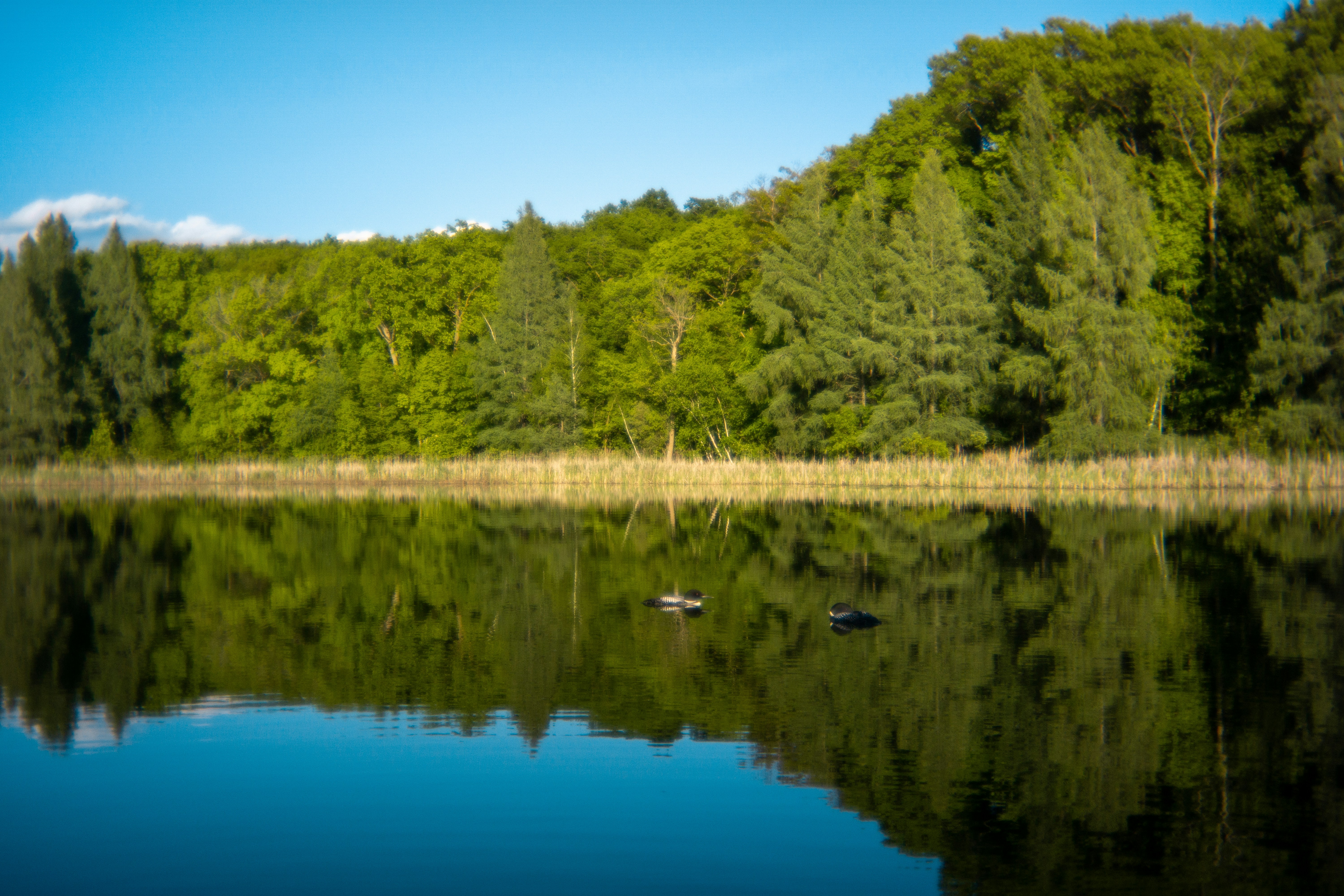 Photo by nickringsmuth