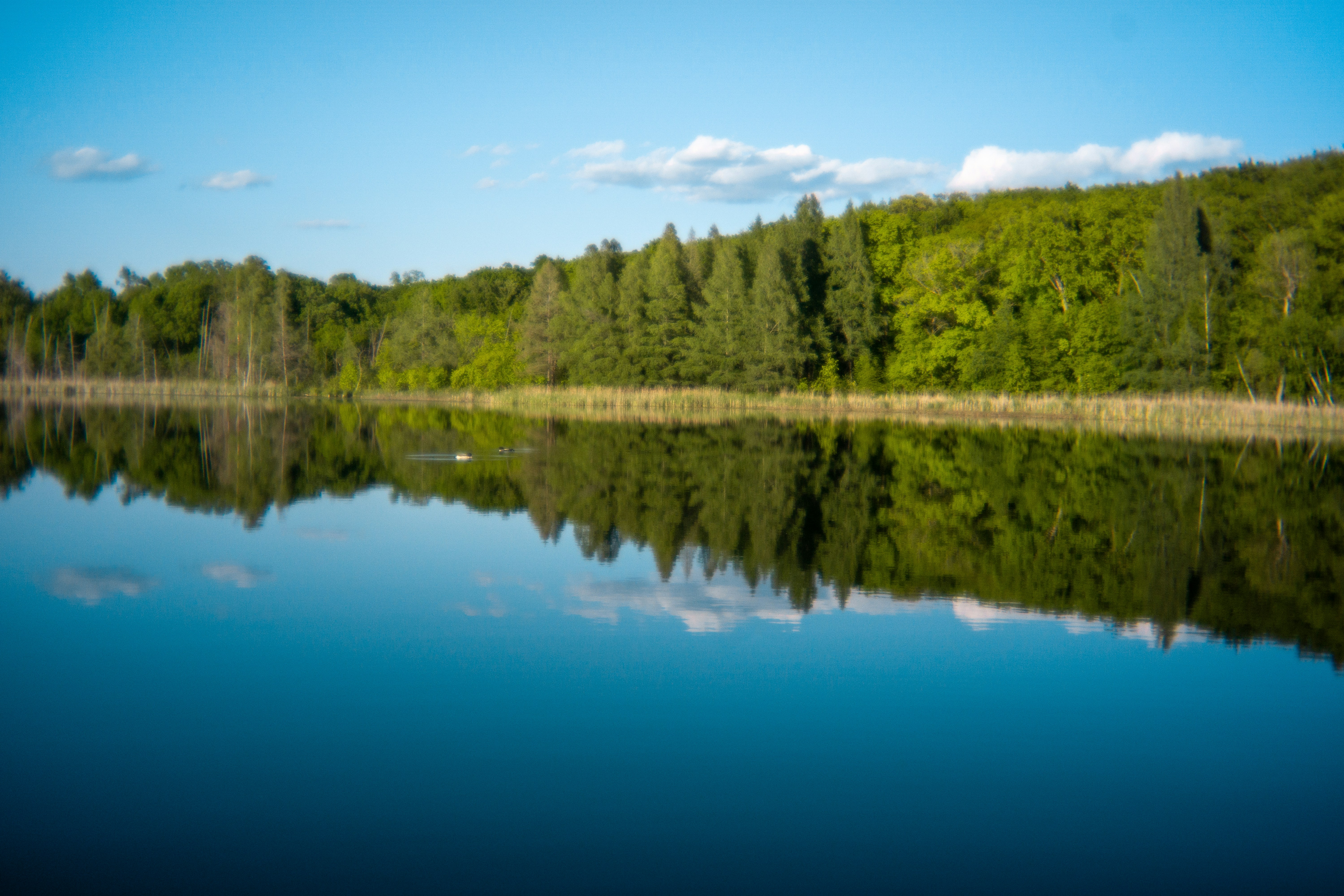 Photo by nickringsmuth