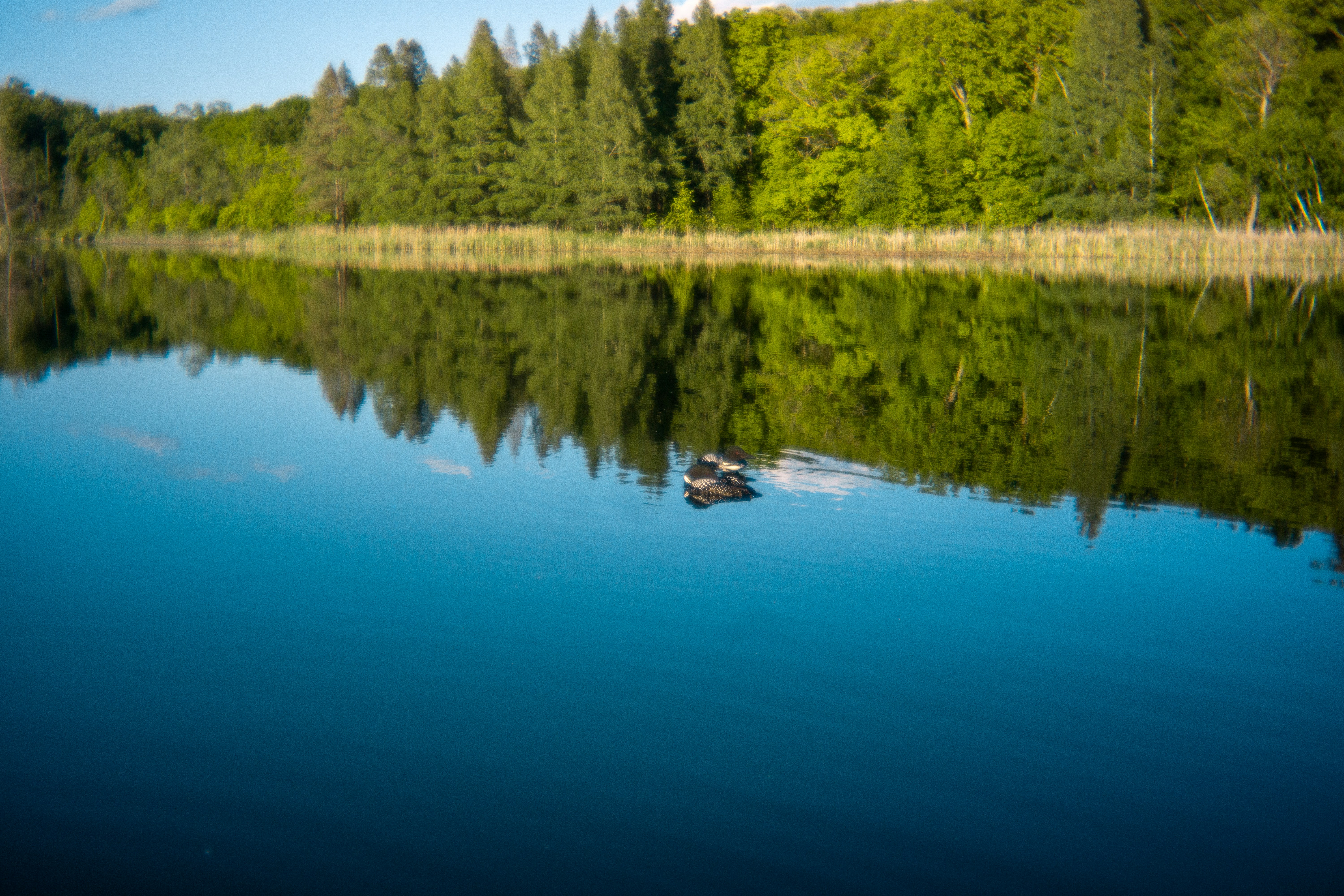 Photo by nickringsmuth