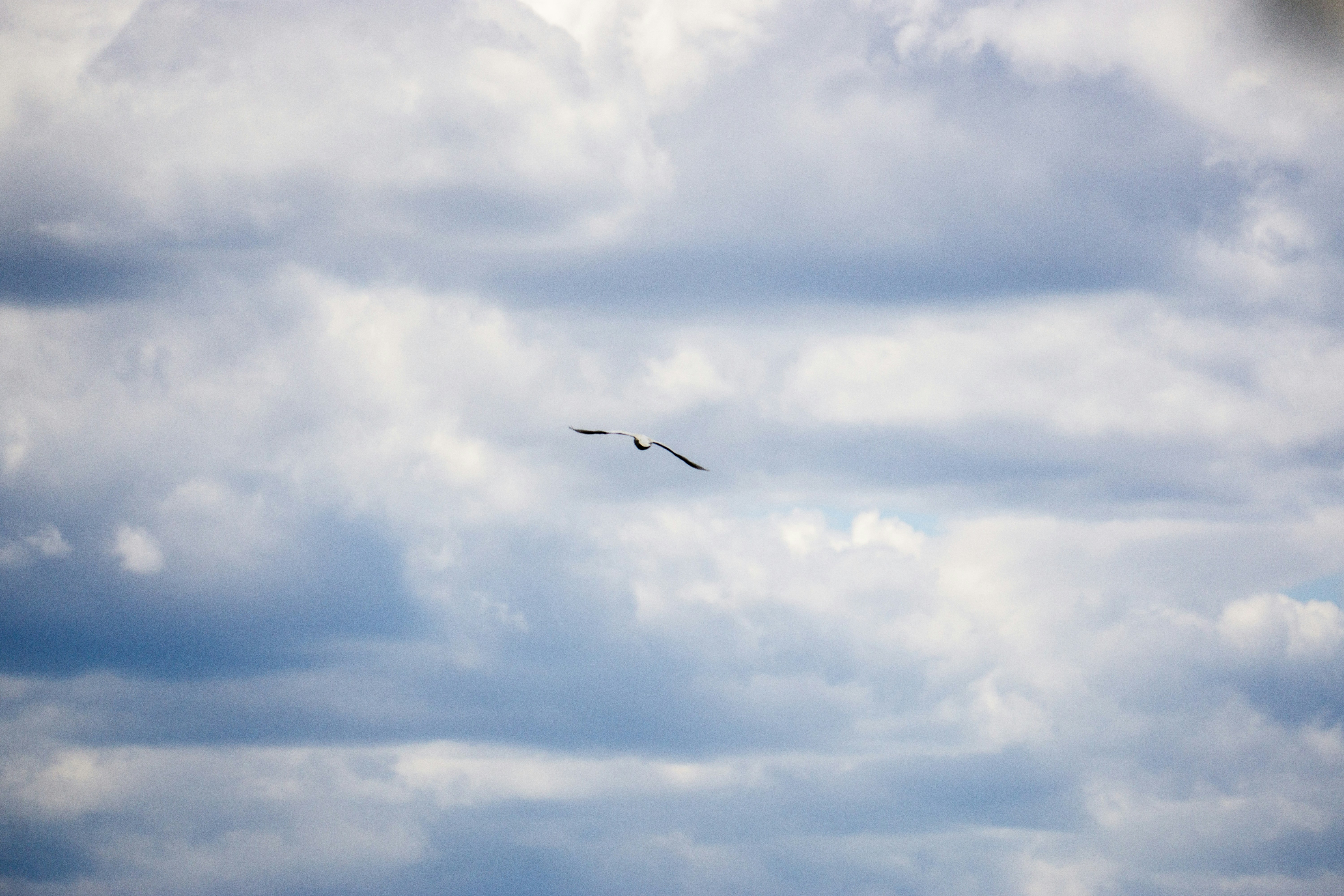 Photo by nickringsmuth