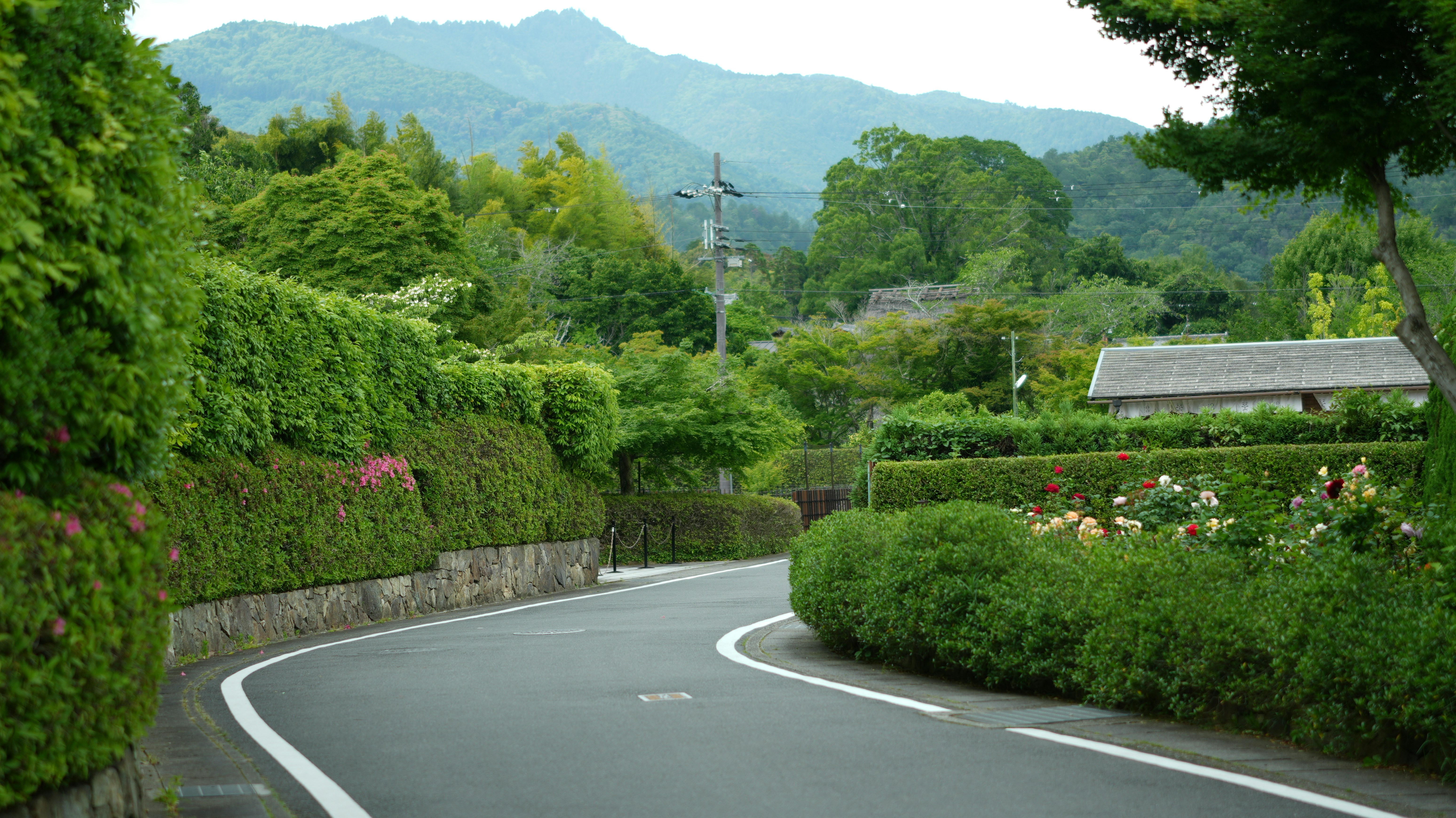 Countryside travel and etiquette in Japanese villages