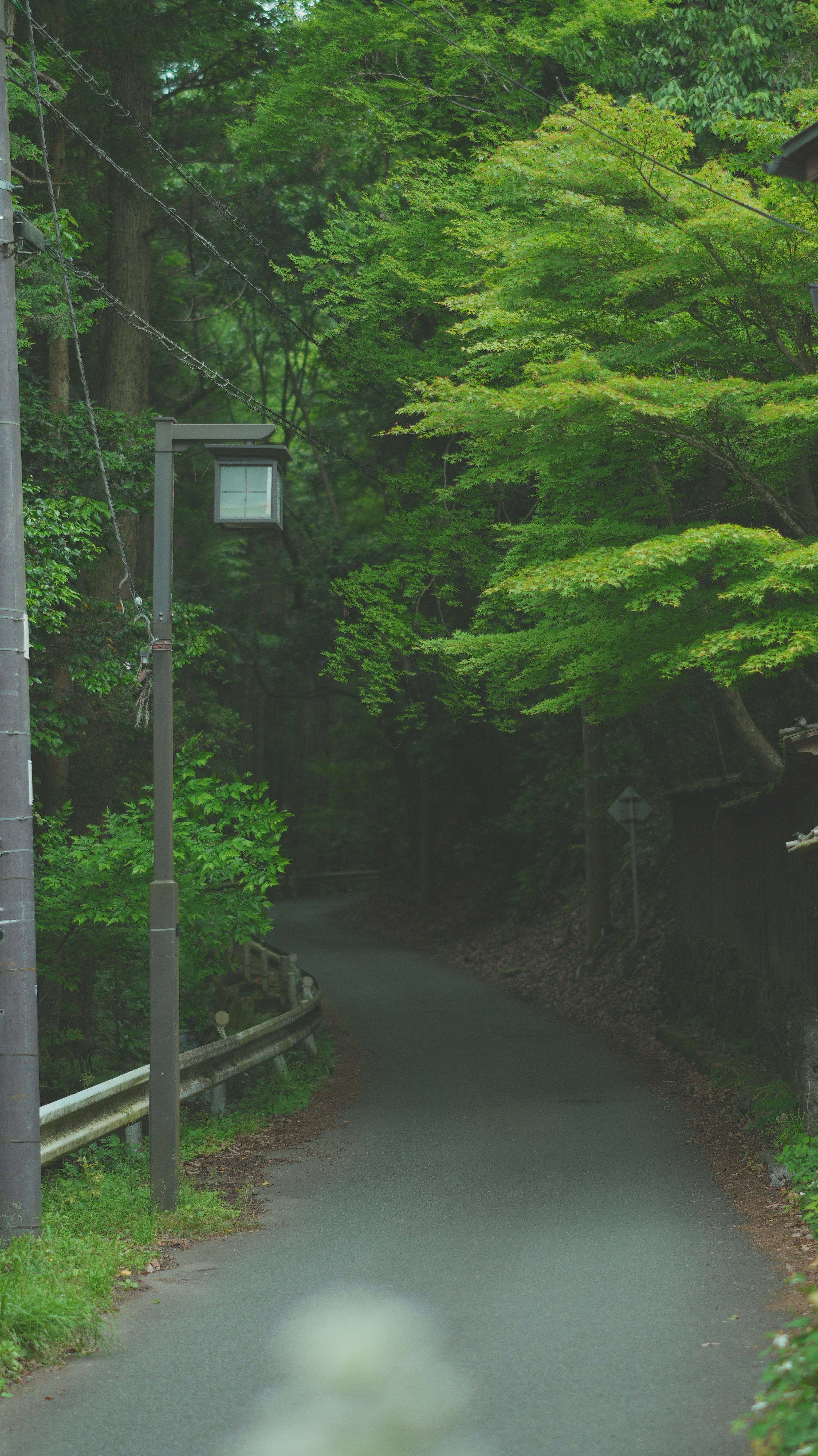 Photo by maple_yin