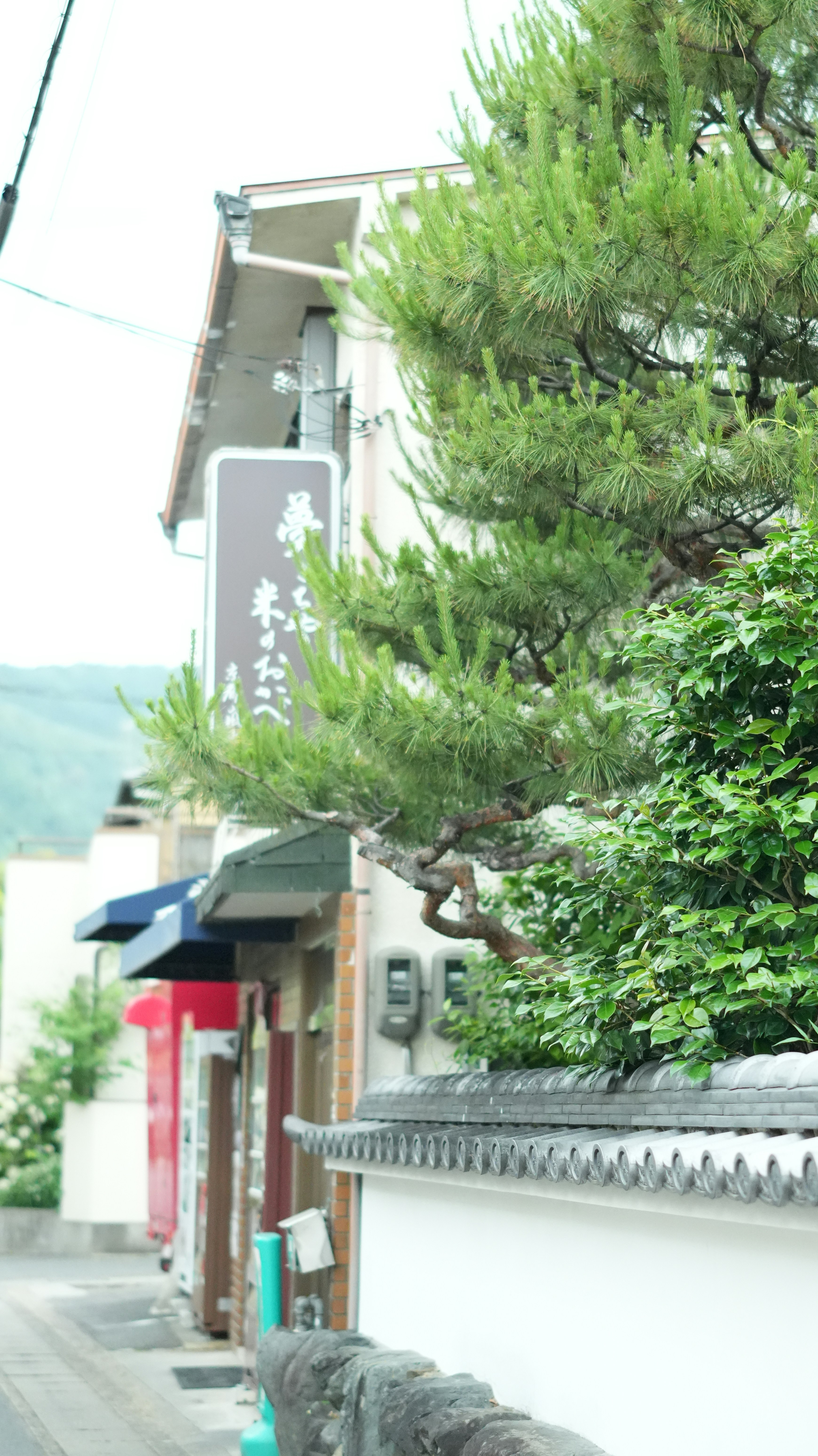 Photo by maple_yin