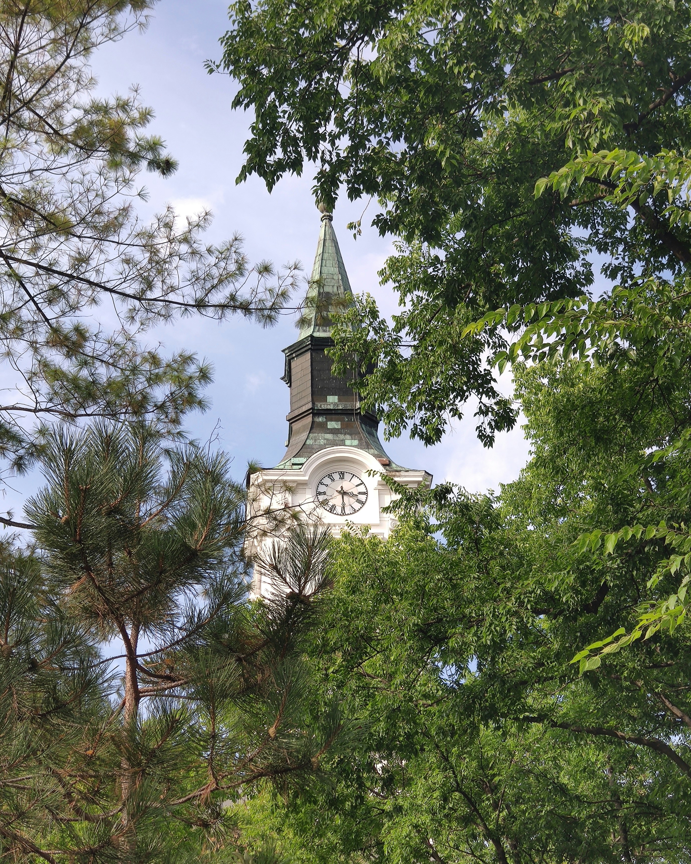 木々の間から教会の塔が見えます。