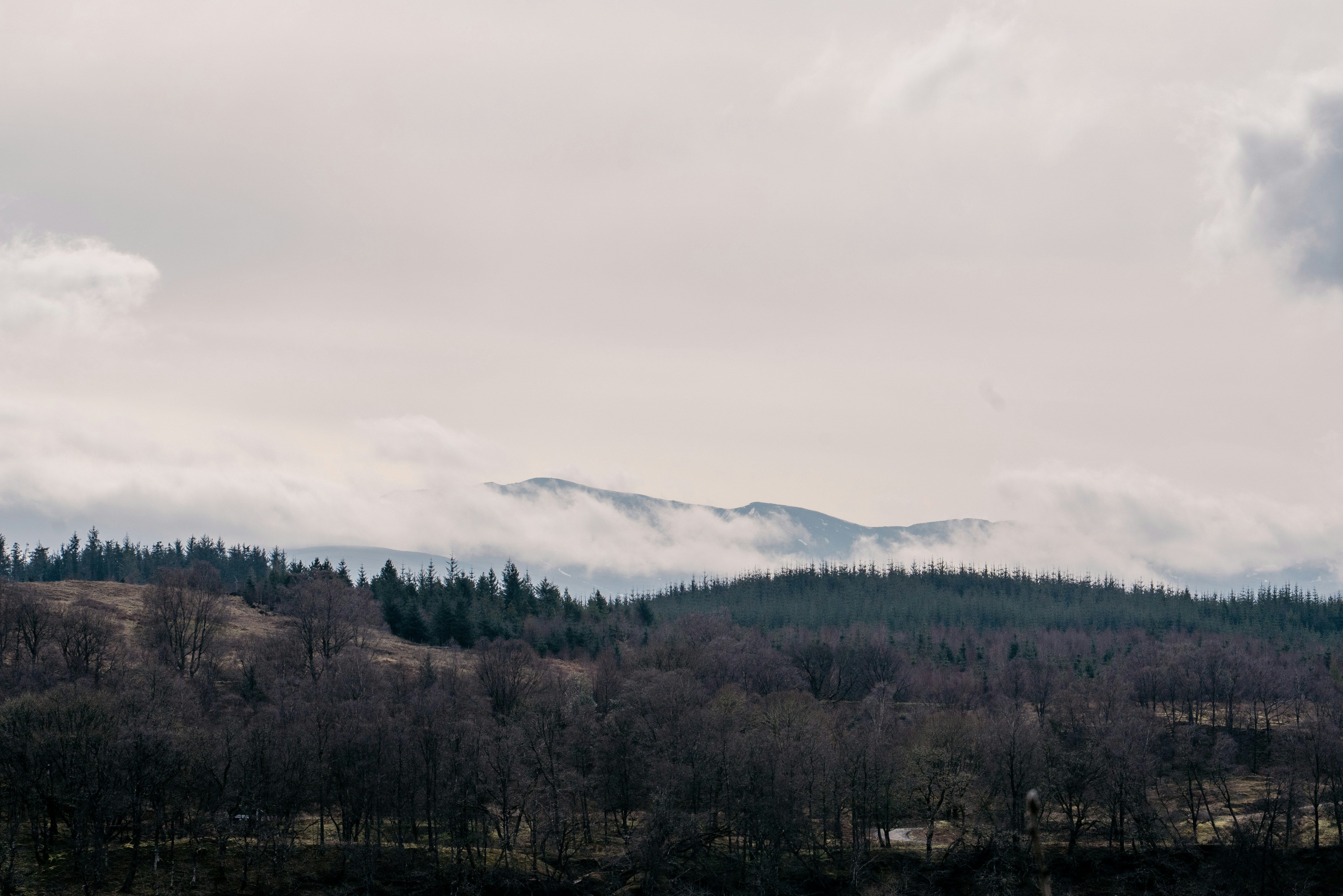 Photo by raymondokoro