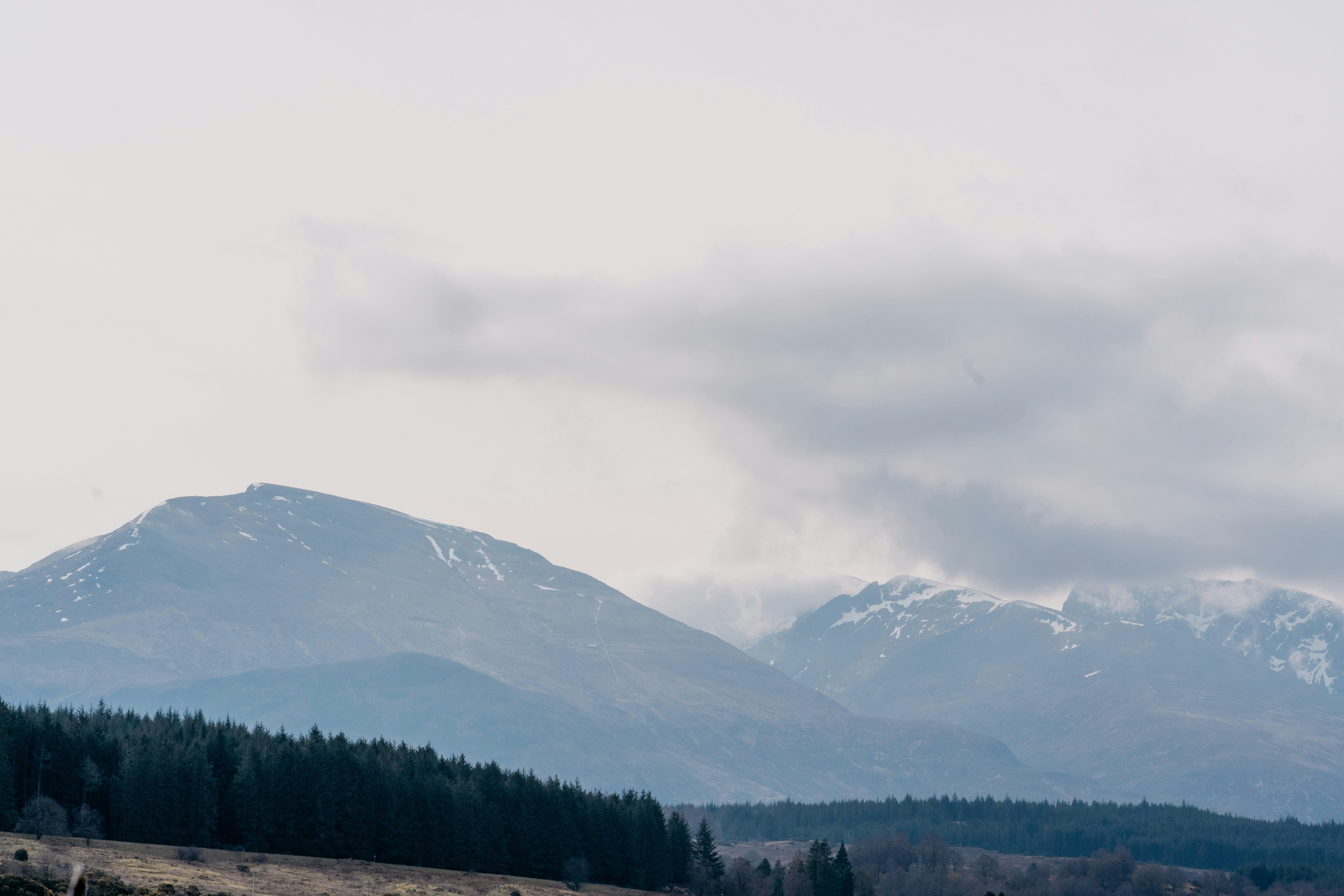 Photo by raymondokoro