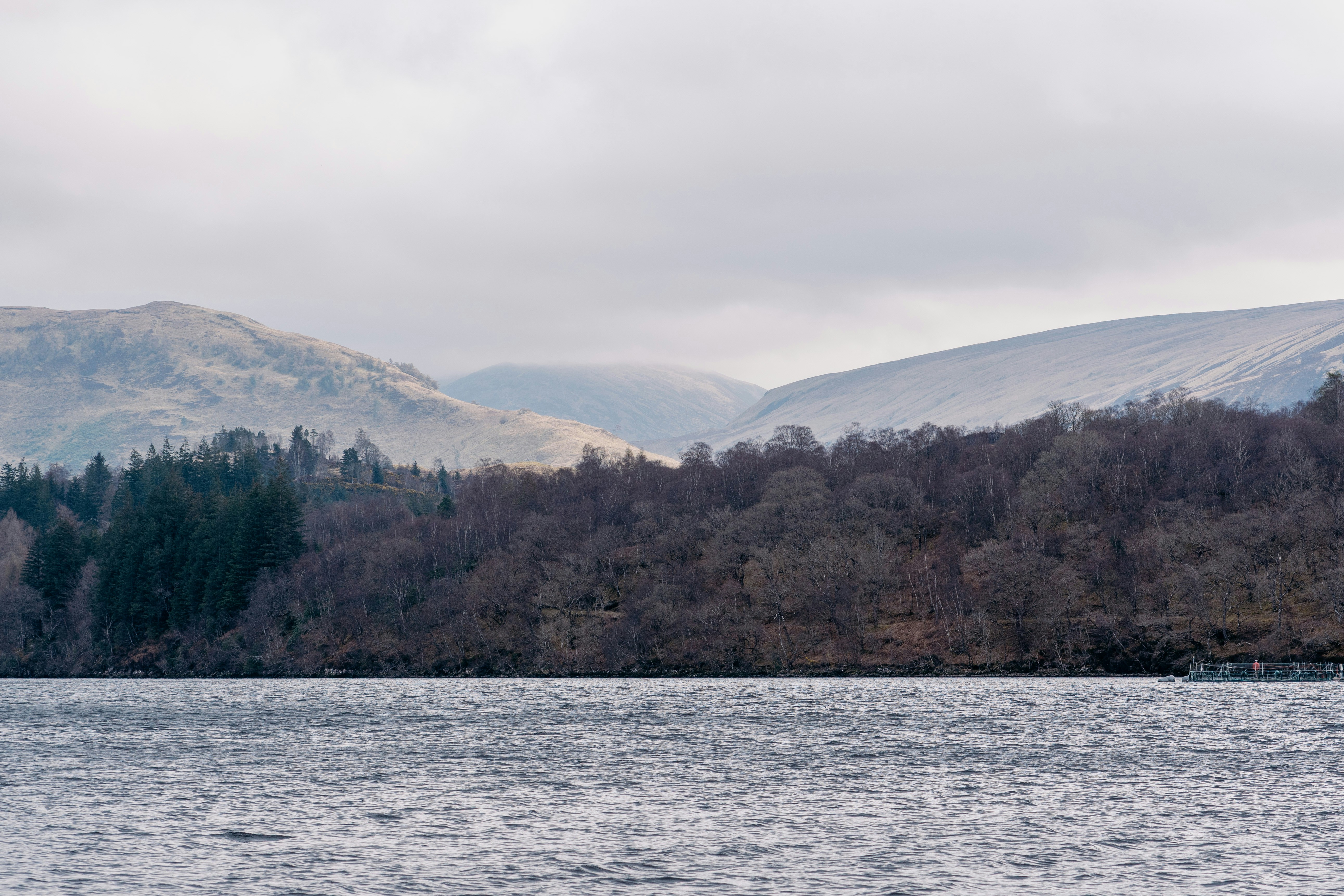 Lake water with mountains and trees in the distance.