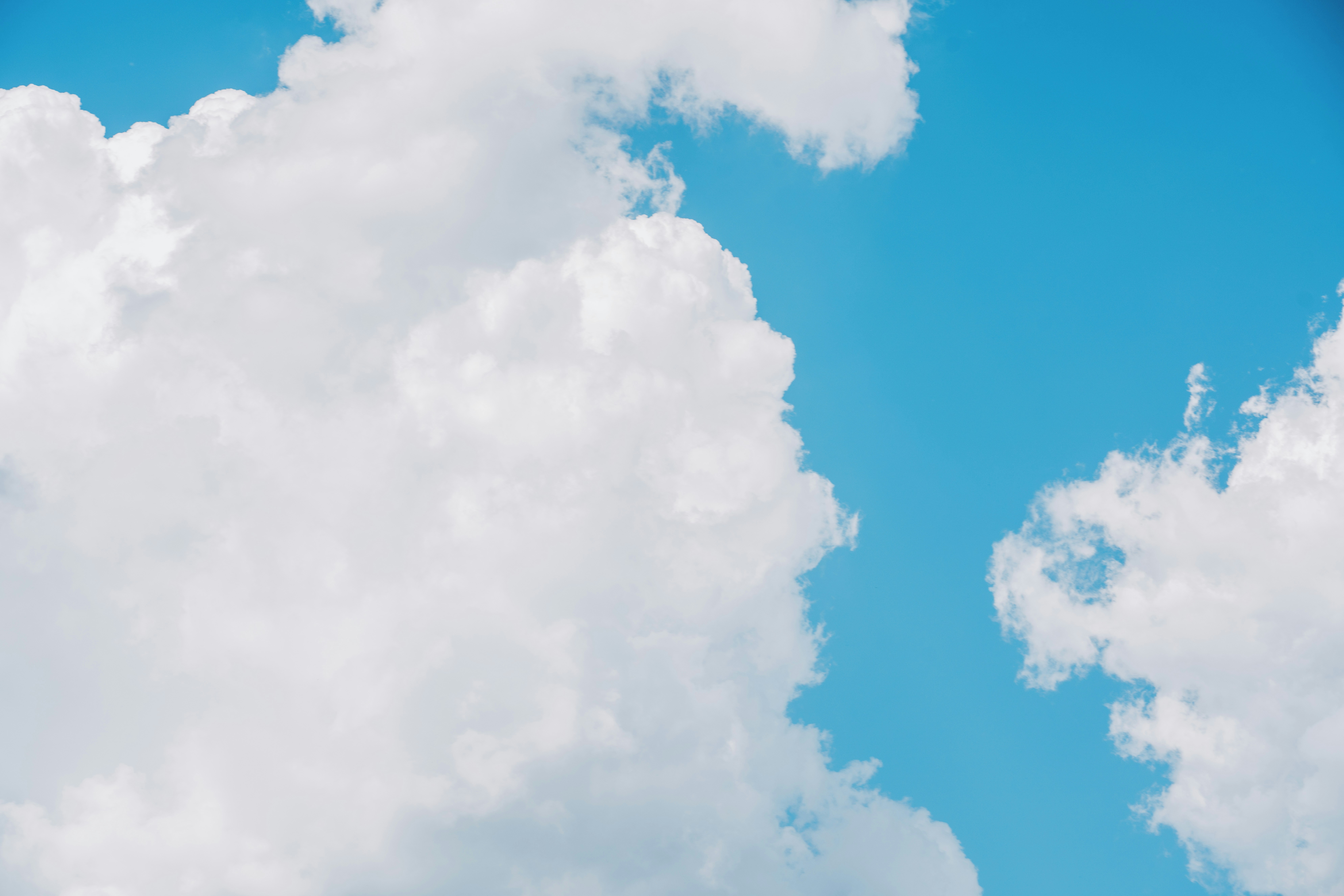 Photo by raymondokoro